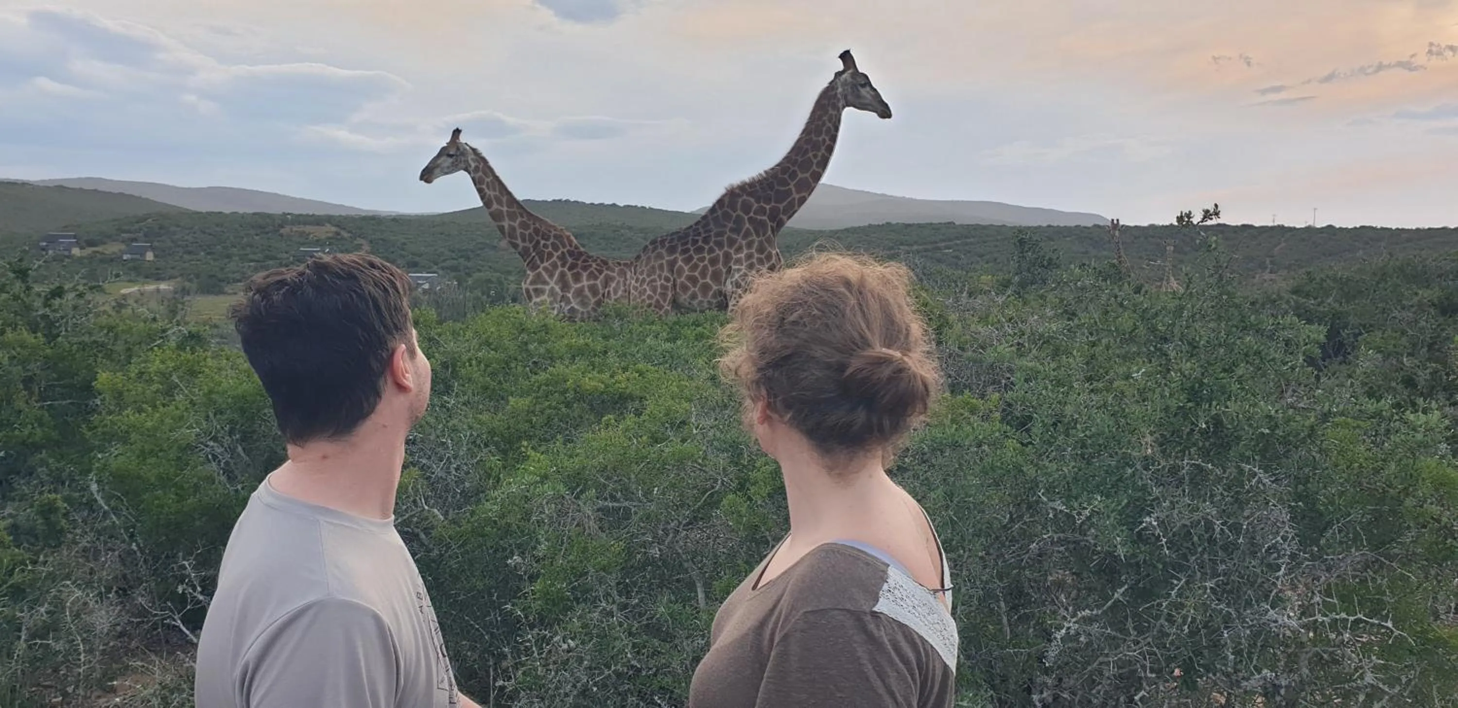Animals in Valley Bushveld Country Lodge