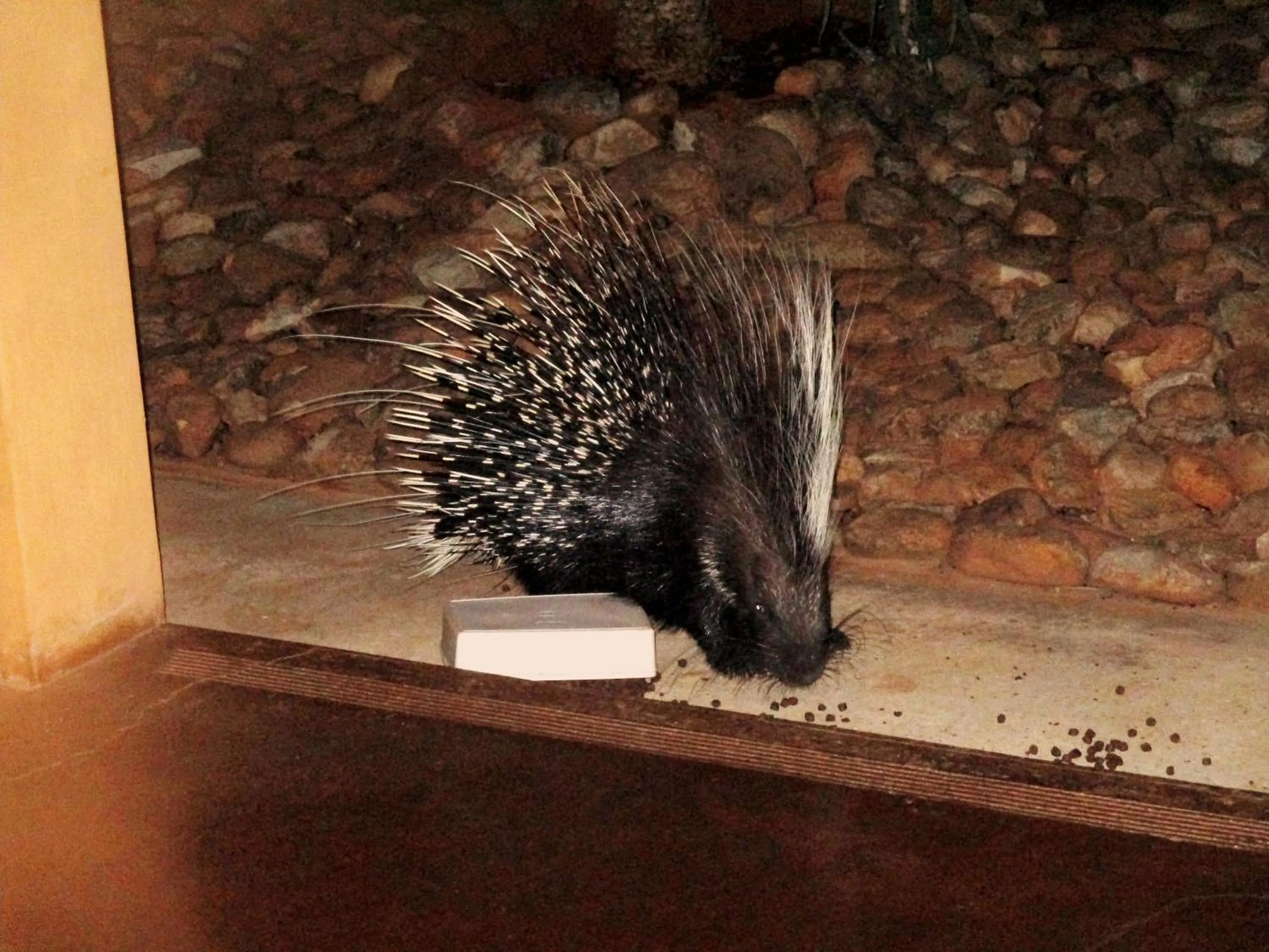Garden in Valley Bushveld Country Lodge