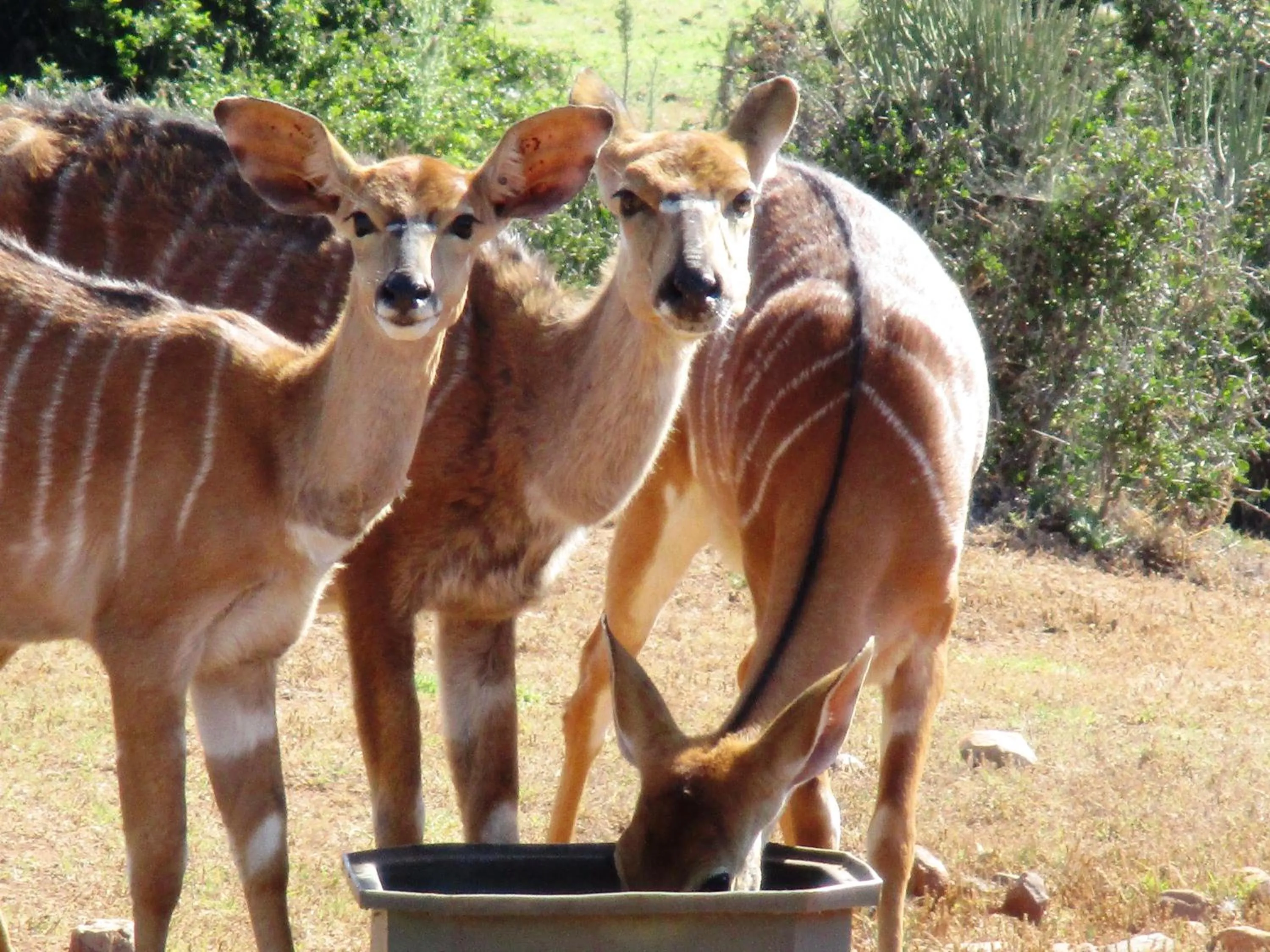 Day in Valley Bushveld Country Lodge
