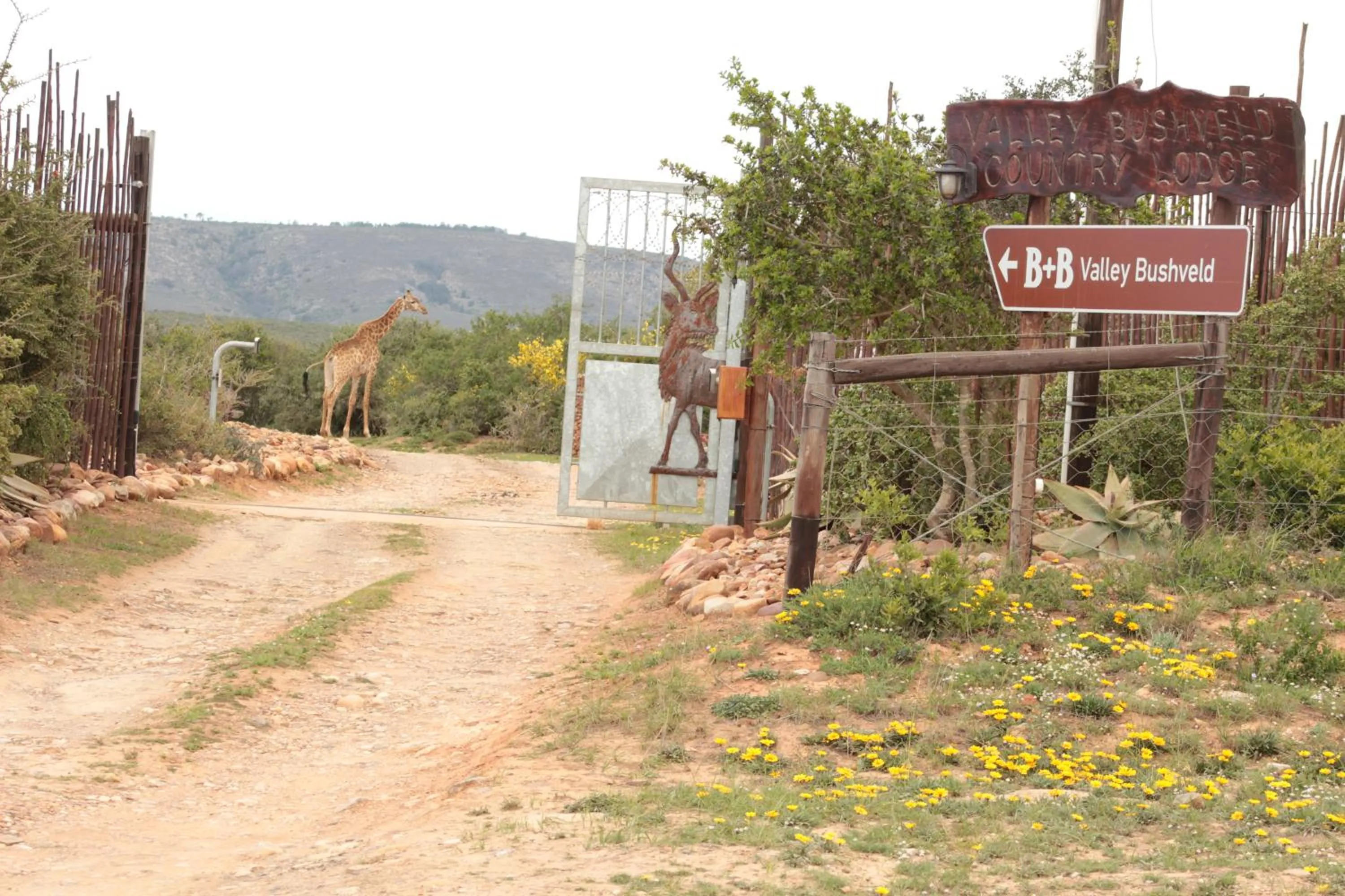 Facade/entrance in Valley Bushveld Country Lodge