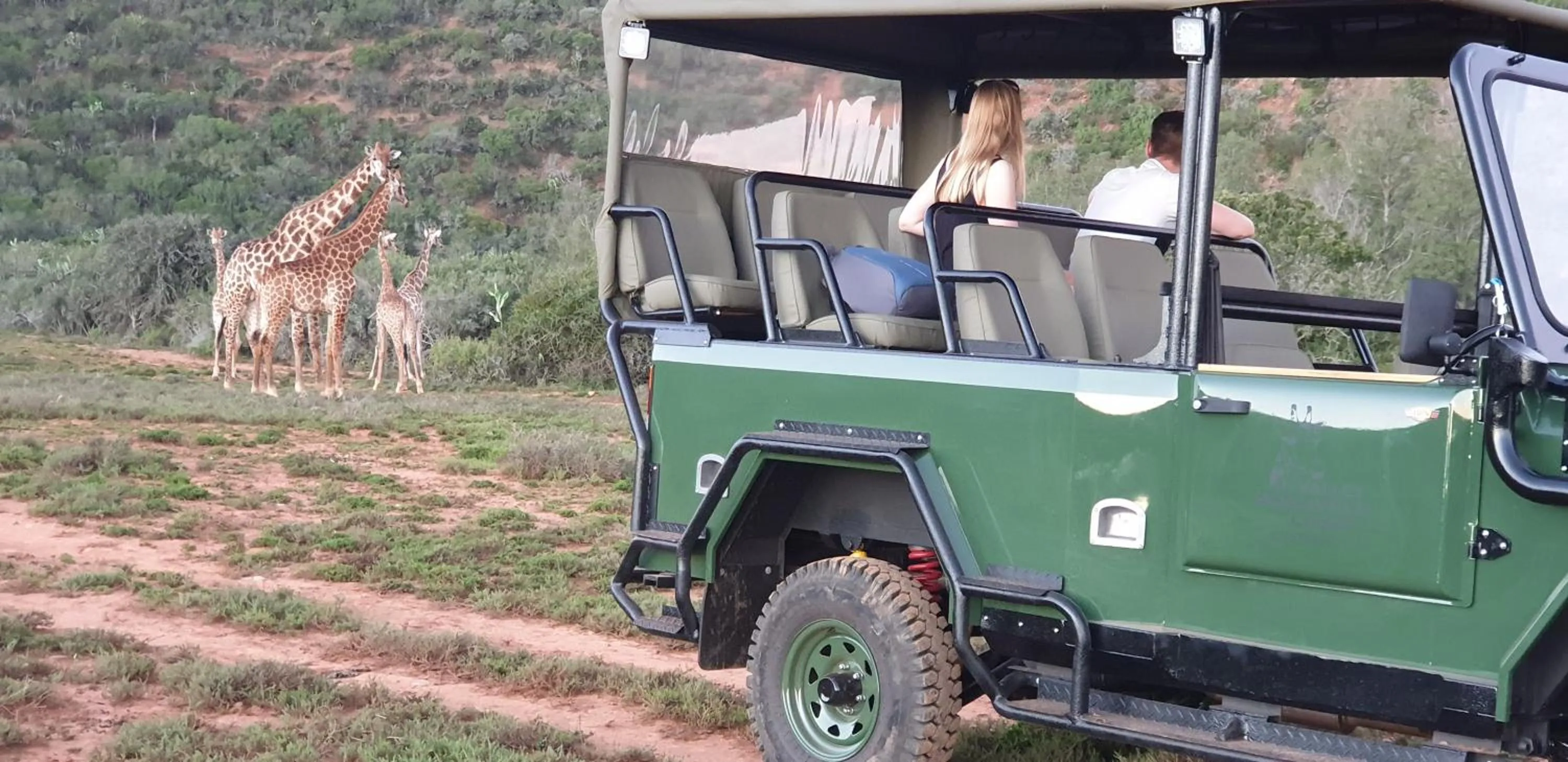 Animals in Valley Bushveld Country Lodge