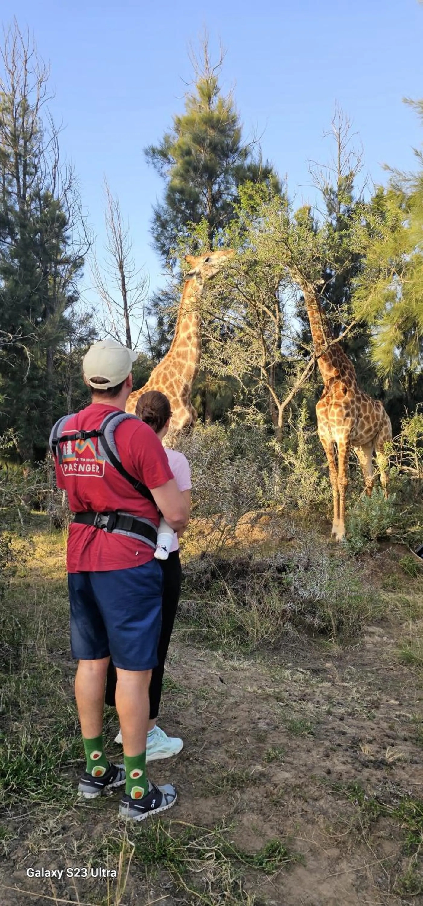 Animals in Valley Bushveld Country Lodge
