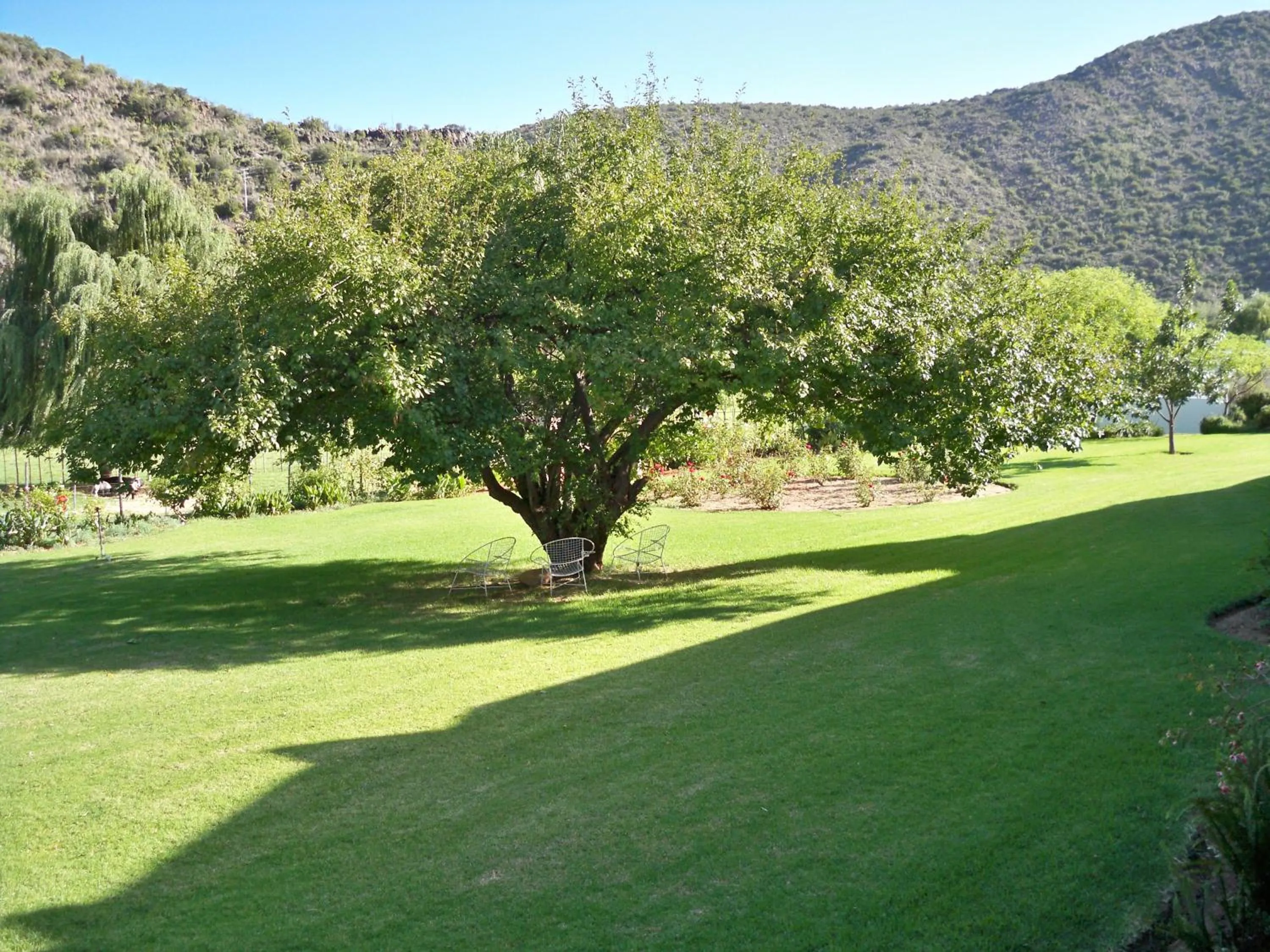 Garden in De Oude Meul Country Lodge & Restaurant