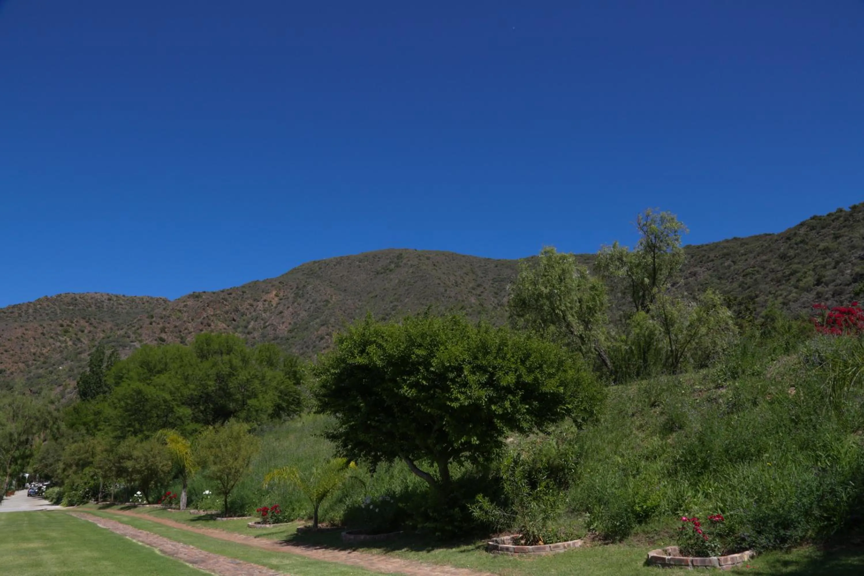 Natural landscape in De Oude Meul Country Lodge & Restaurant