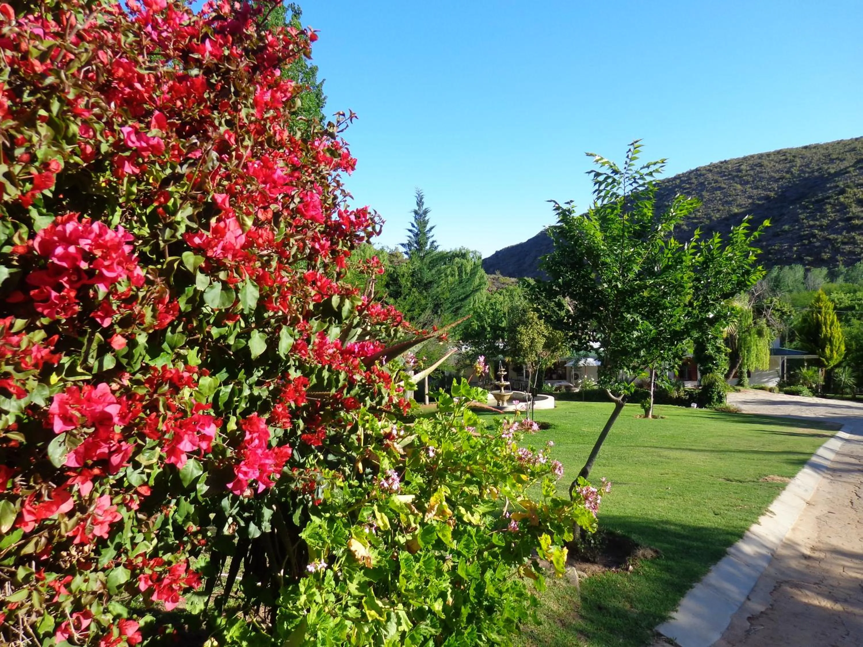 Garden in De Oude Meul Country Lodge & Restaurant