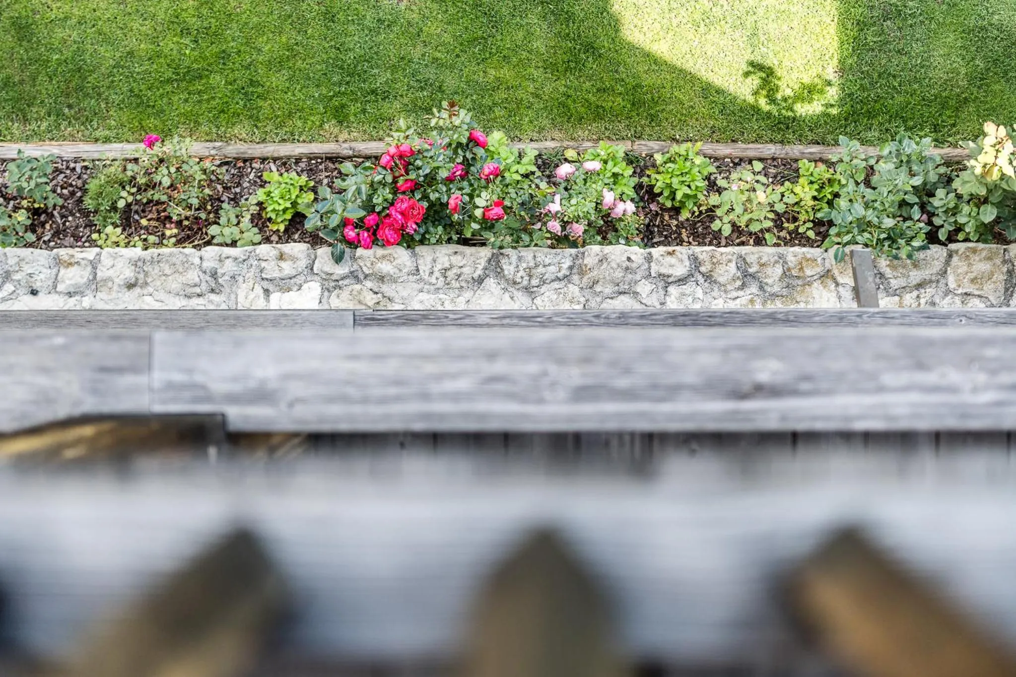 Garden view in Sporthotel Exclusive