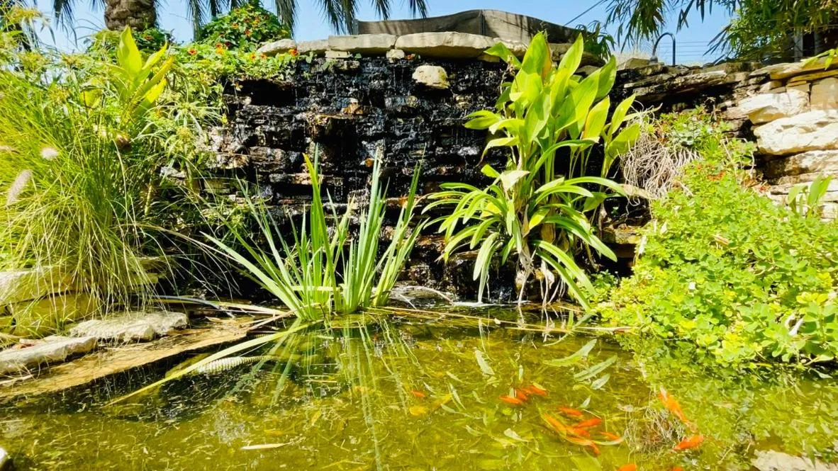 Garden in Out of Africa Resort