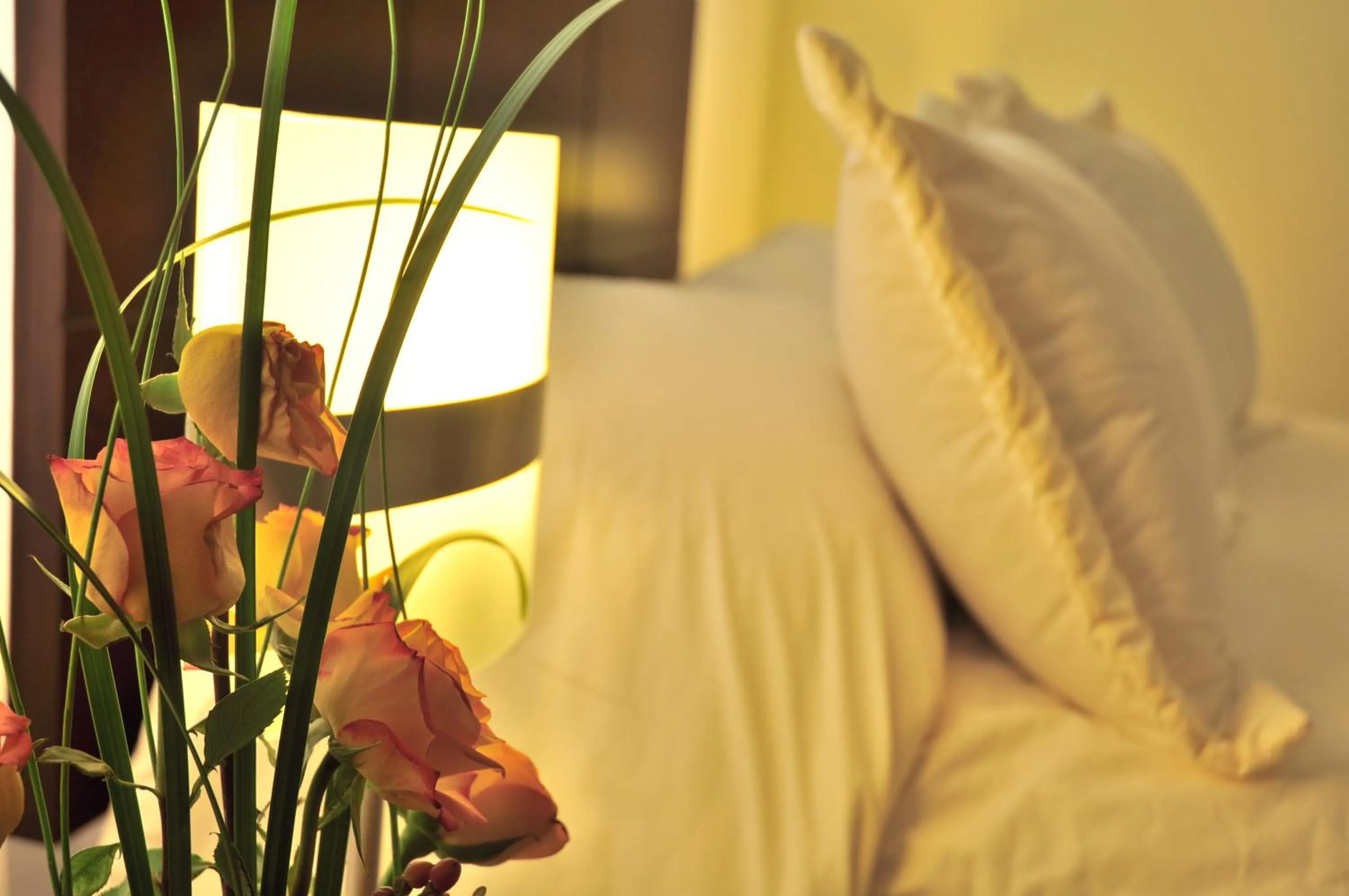 Other, Bed in Kapac Inn Hotel