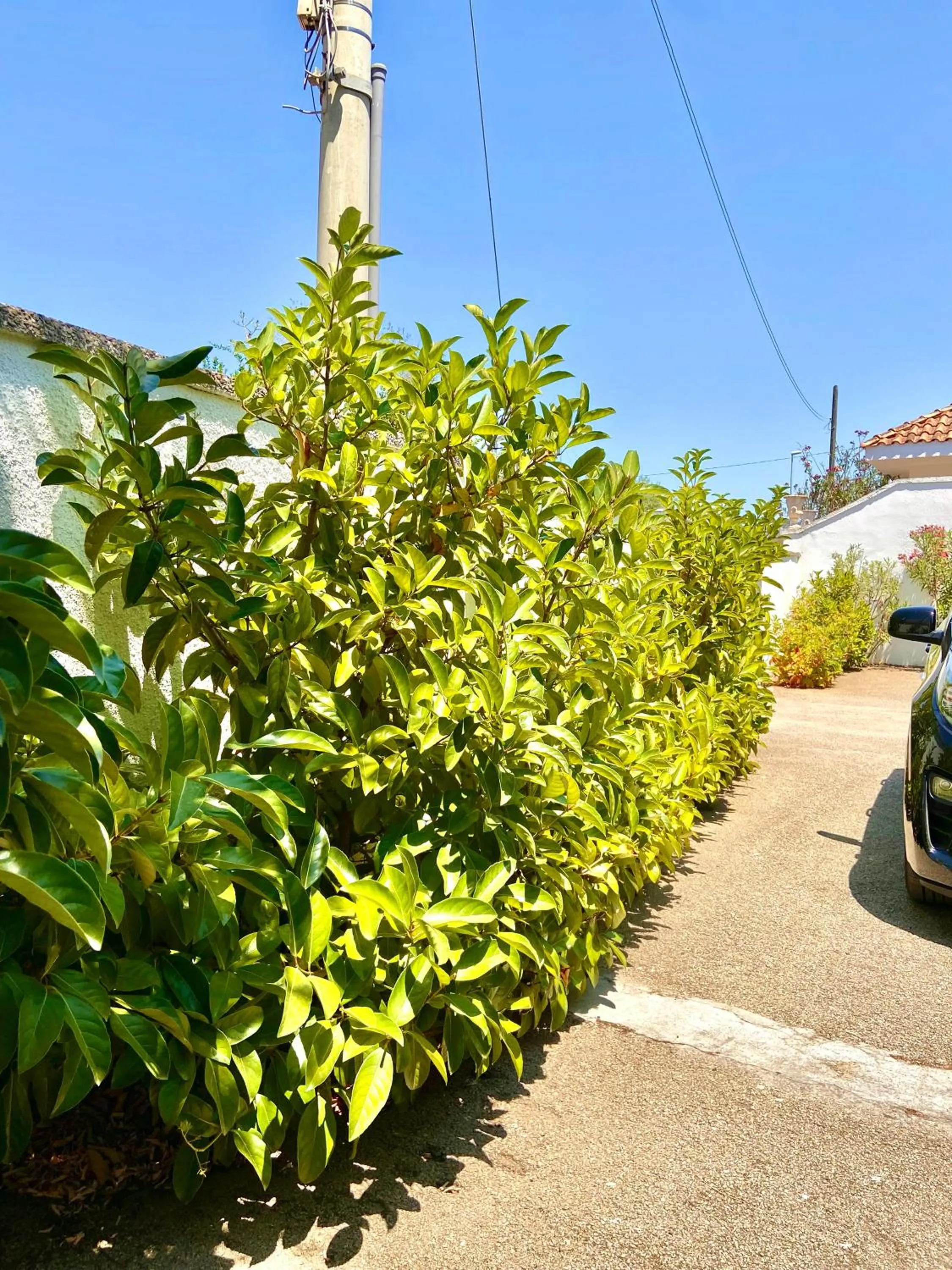 Day in B&B Costa Azzurra