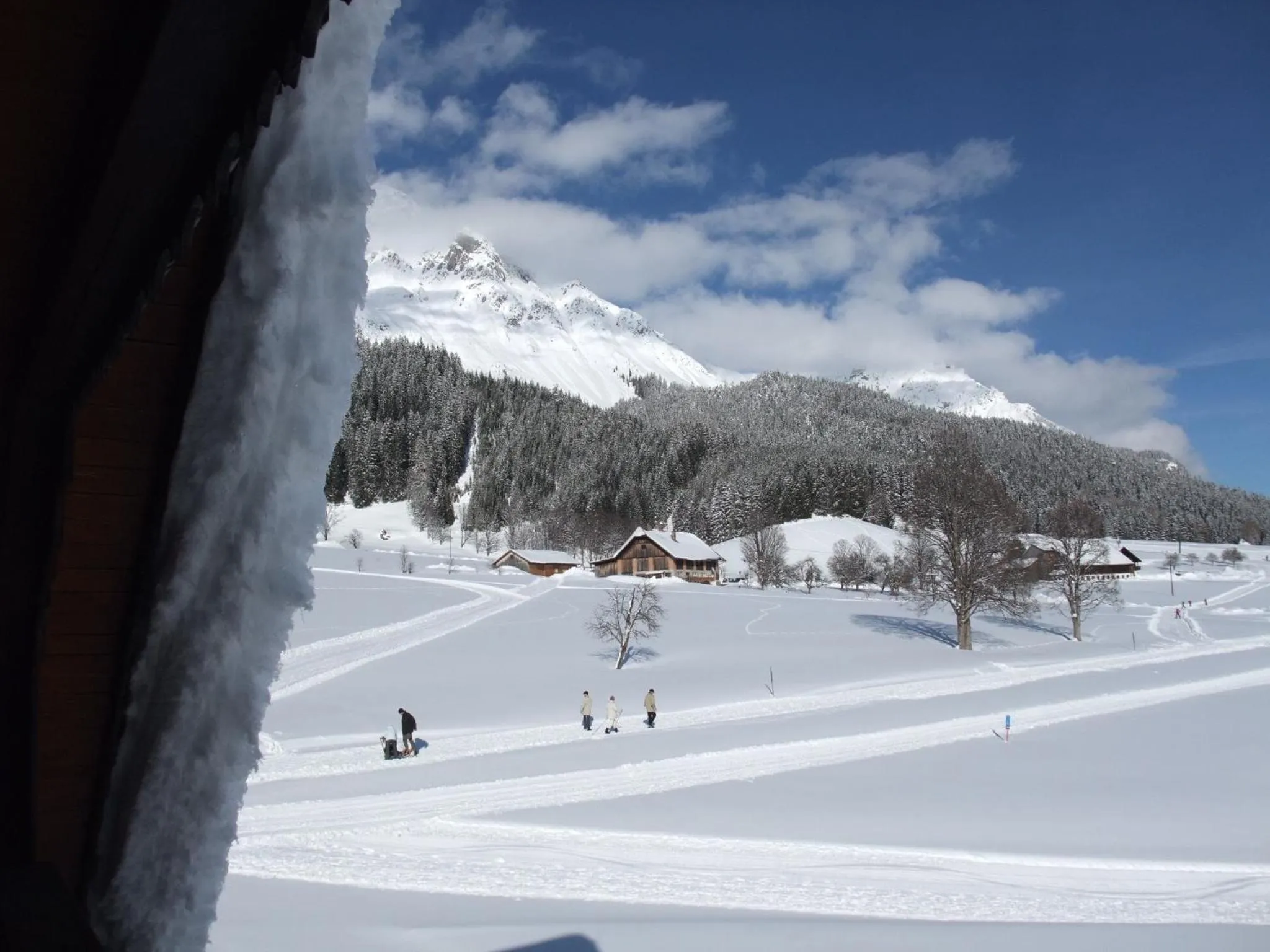 View (from property/room) in Ferienhotel Knollhof