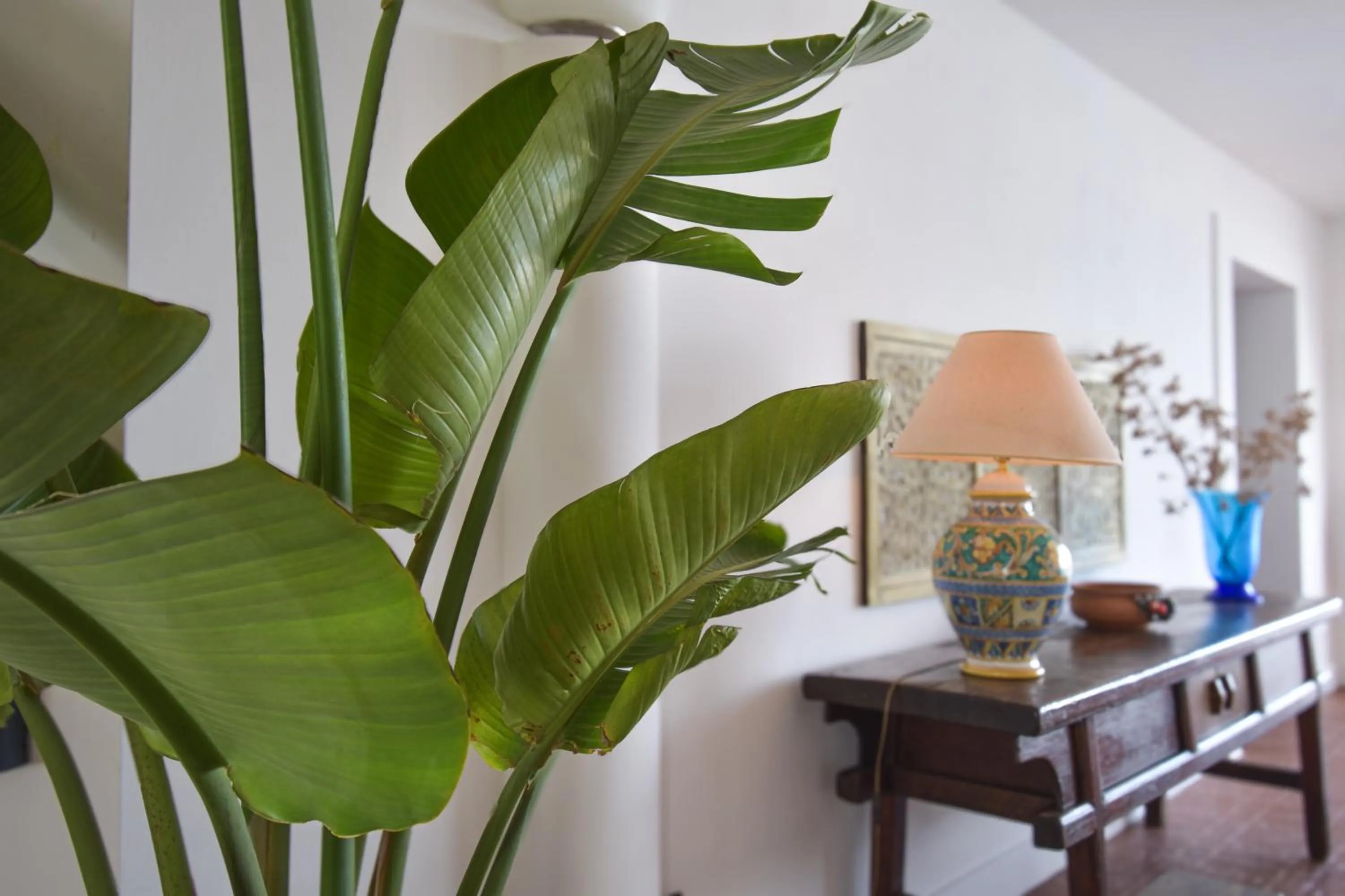 Lobby or reception in Mursia Wellness Hotel