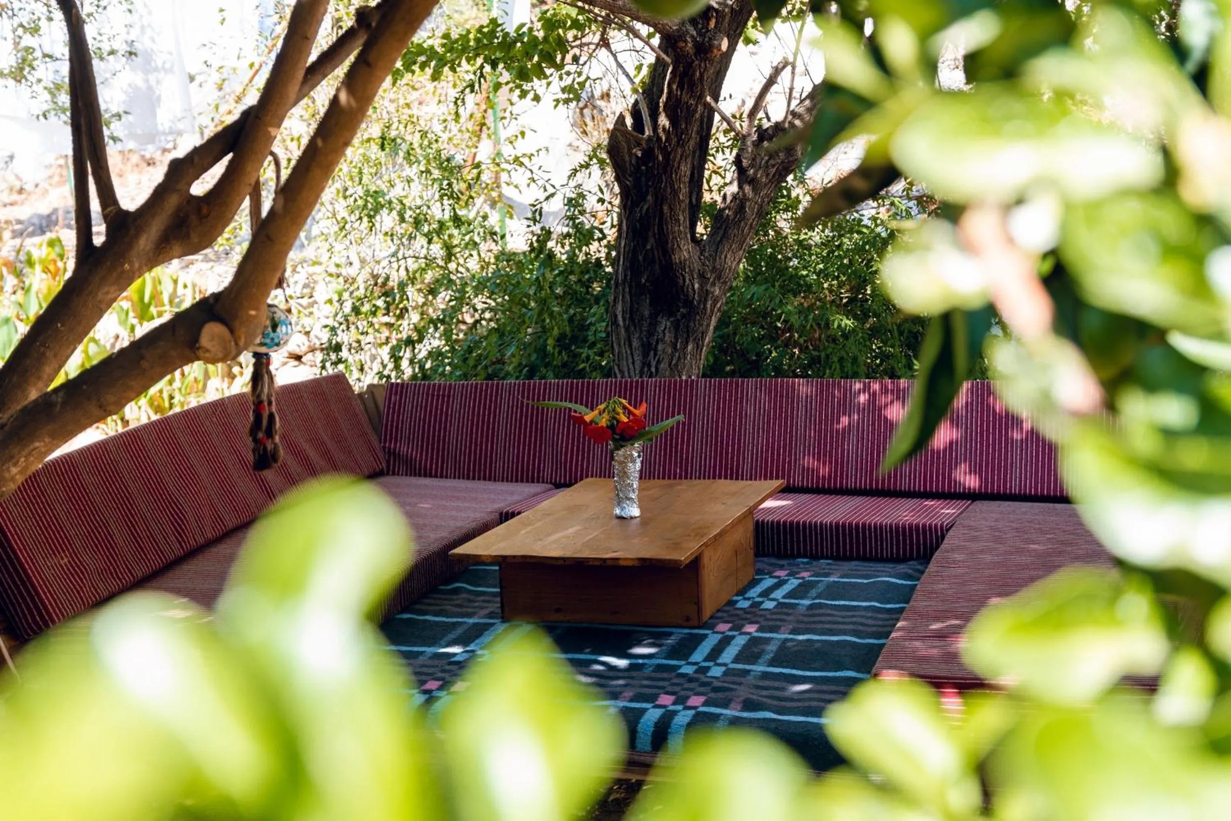 Balcony/Terrace in Village Garden Pansiyon