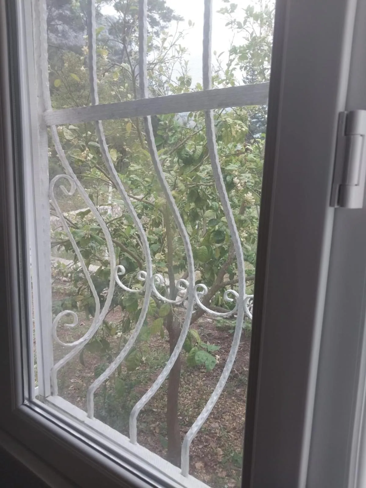 Day in Village Garden Pansiyon