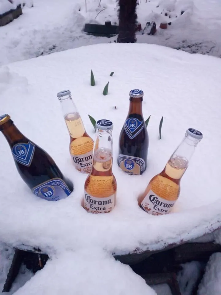 Garden view in B&B delle Arti