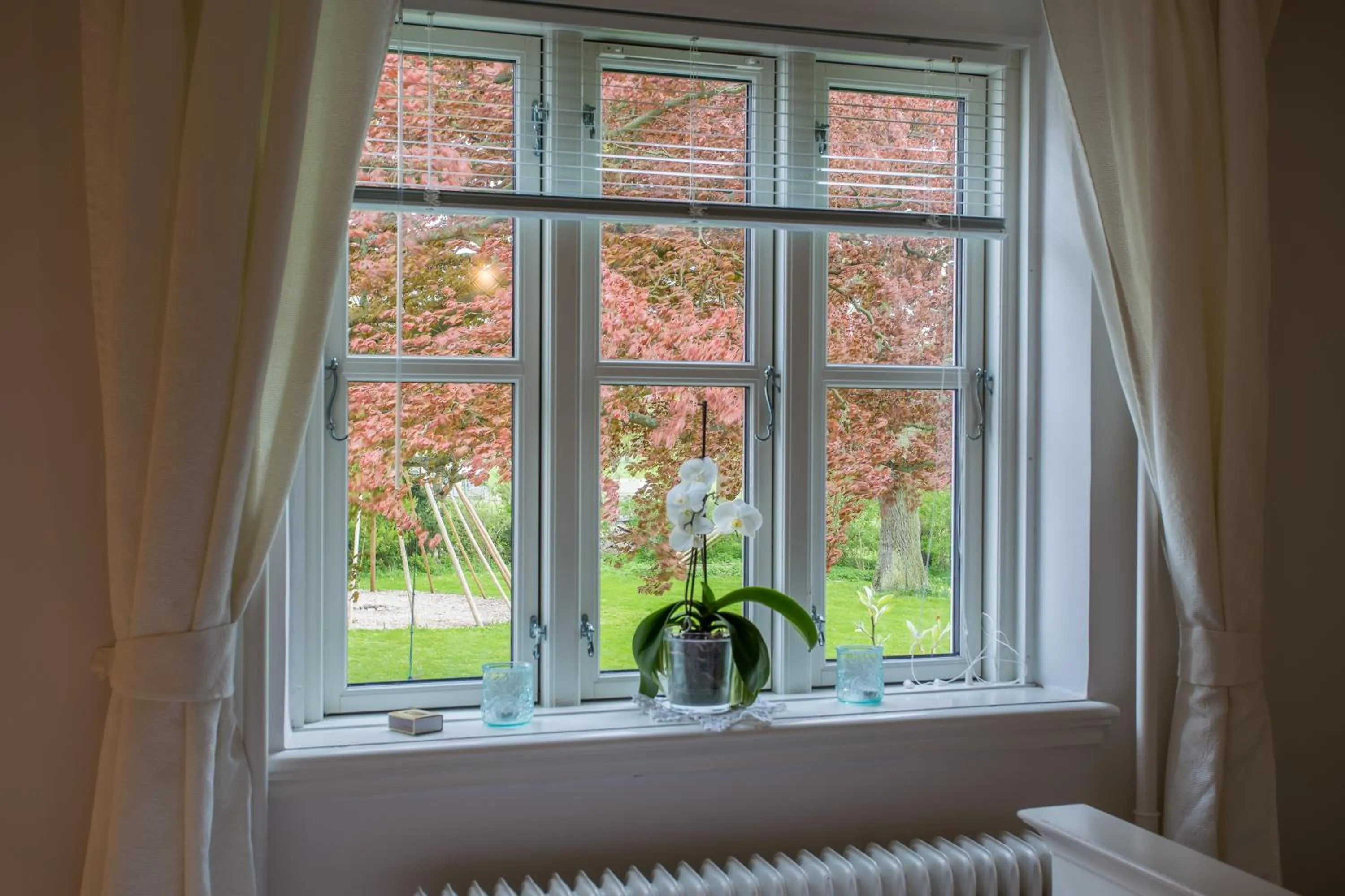 Garden view in Jungshoved Præstegård B&B