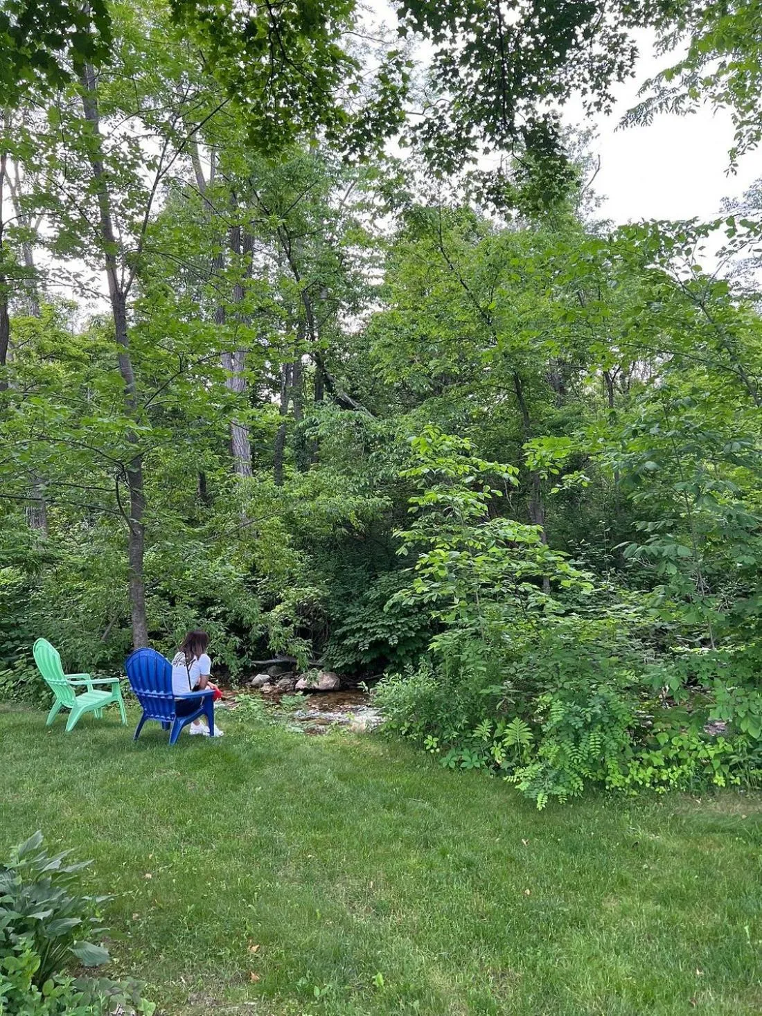 Natural landscape in Cozy Corner Motel