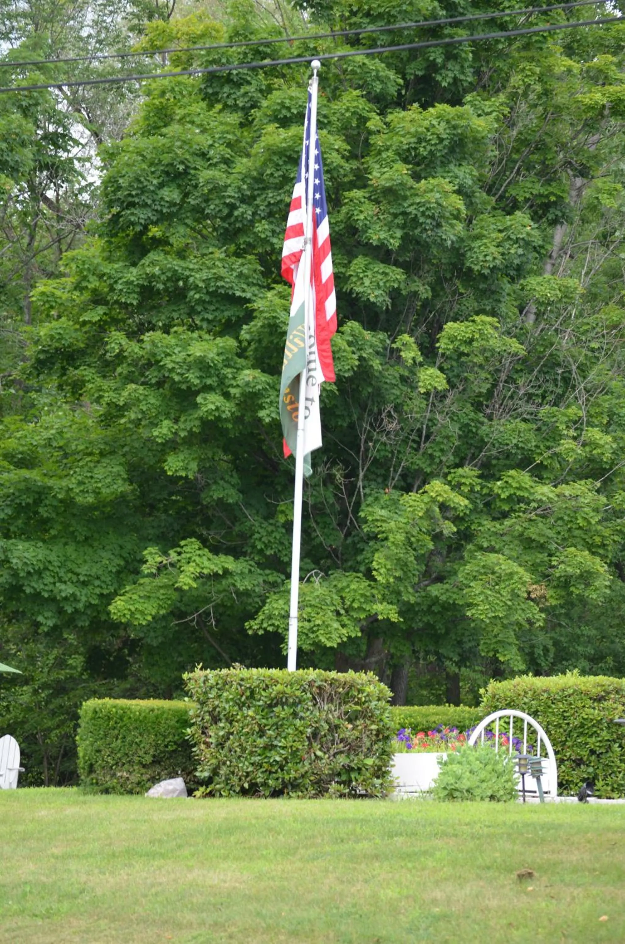 Day in Cozy Corner Motel