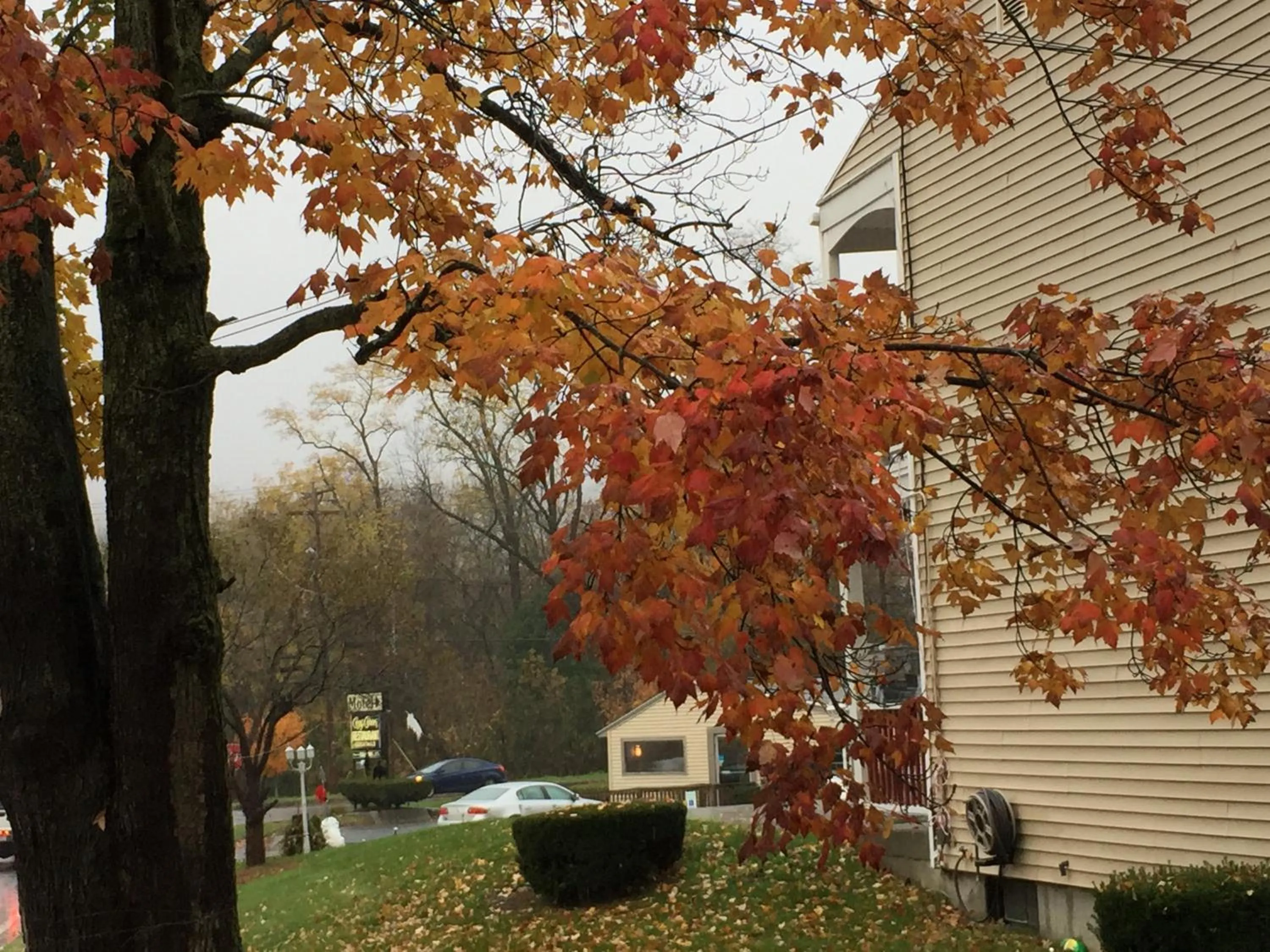 Day in Cozy Corner Motel