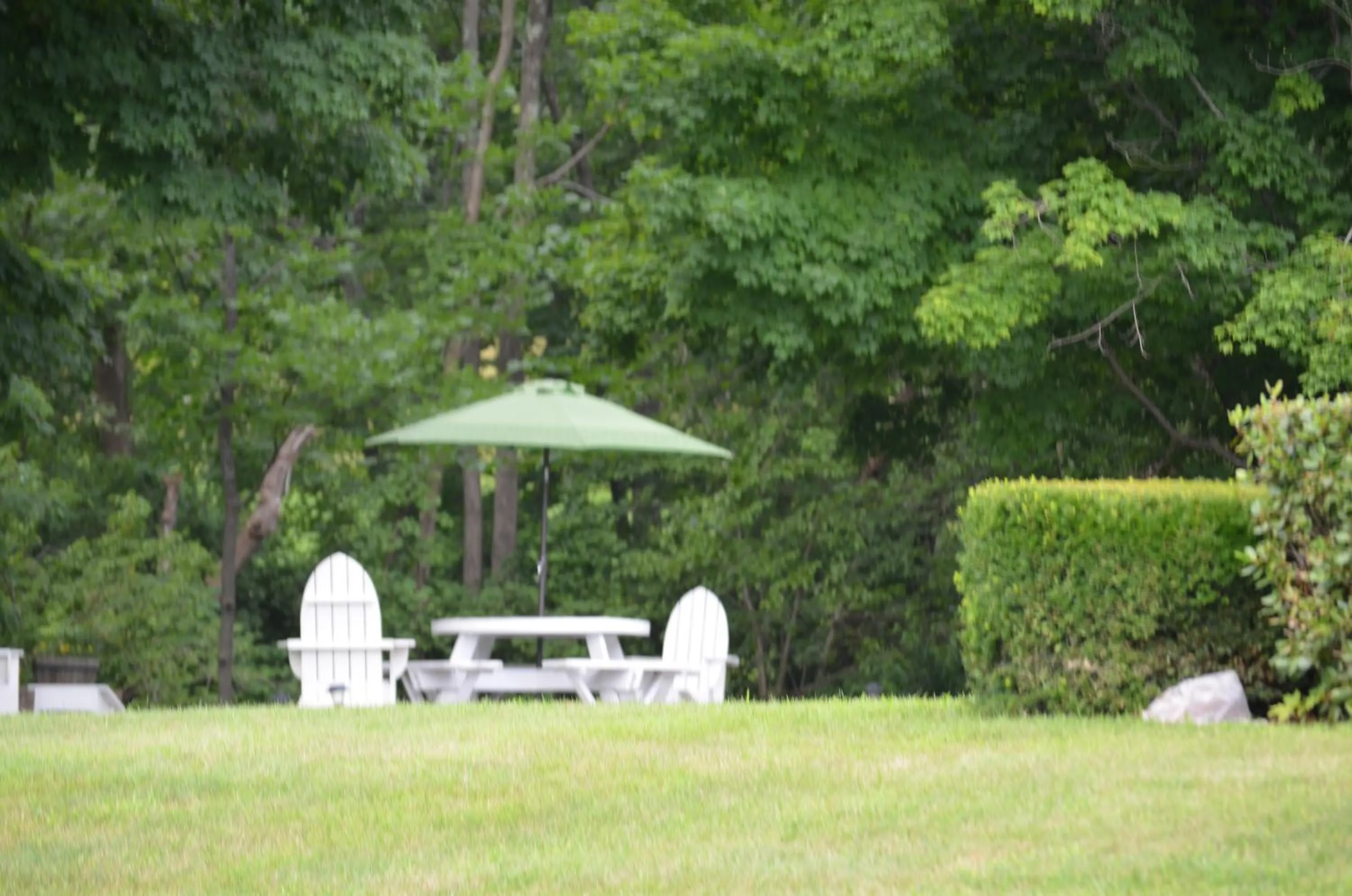 View (from property/room) in Cozy Corner Motel