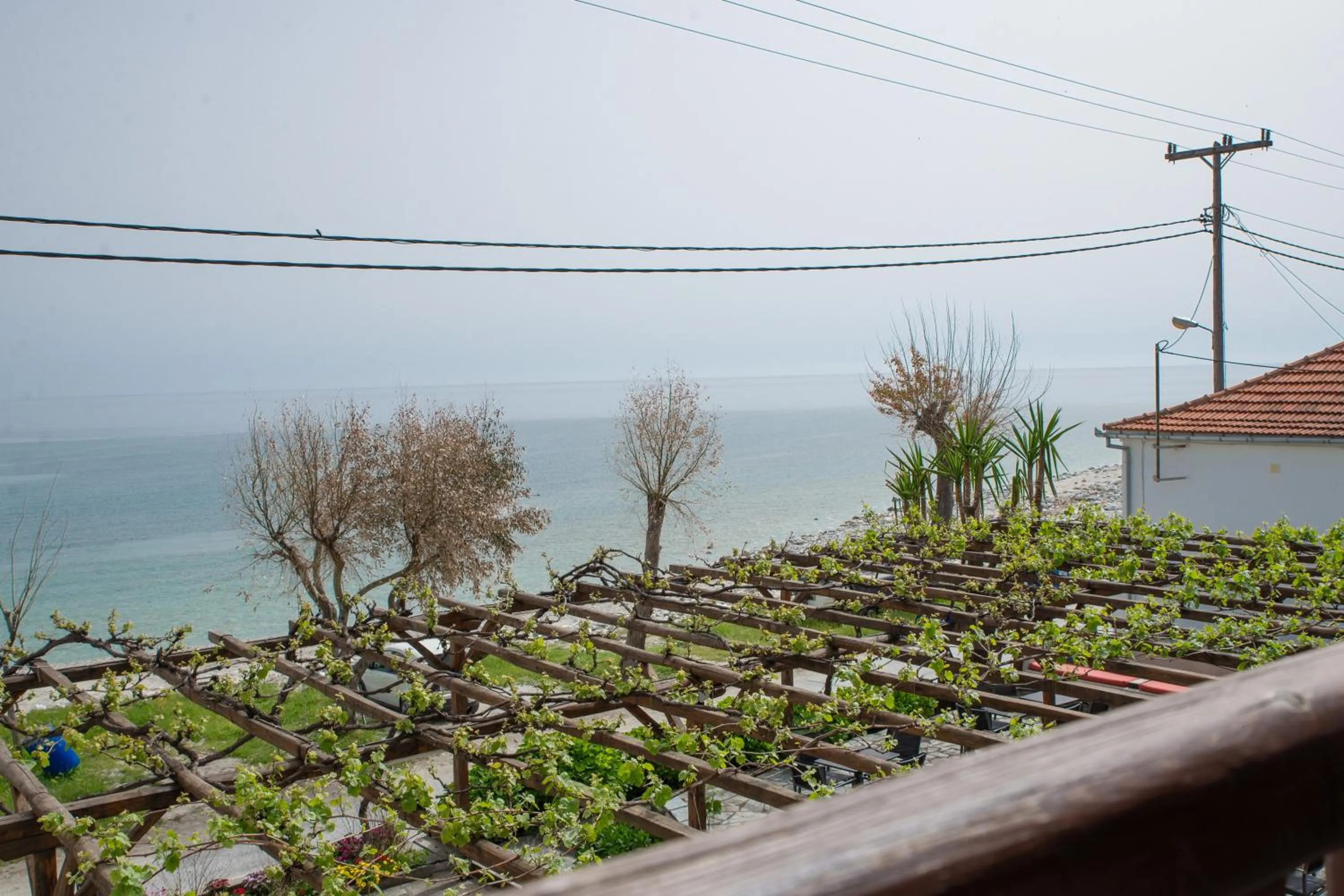 Balcony/Terrace in Hotel Cleopatra