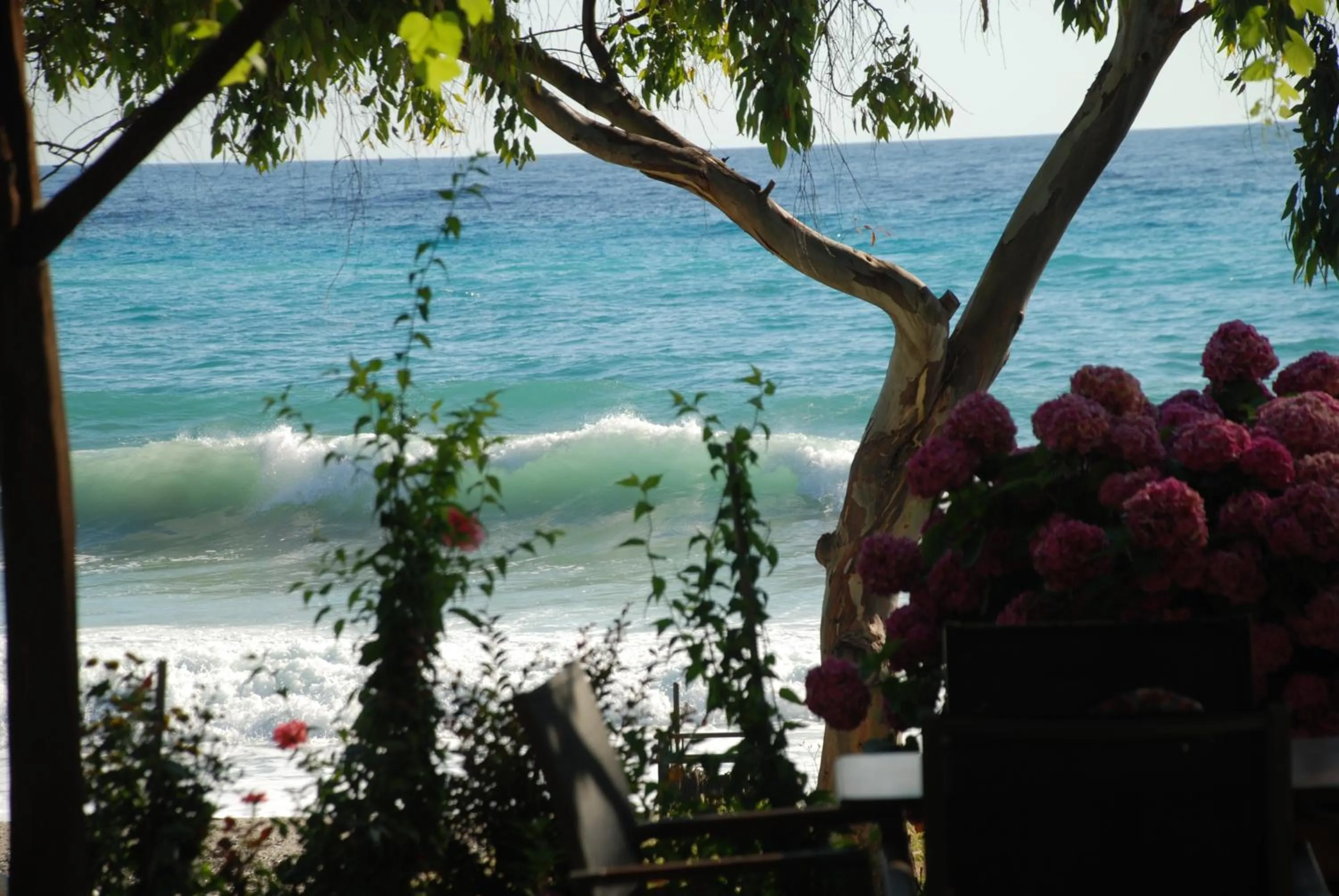 Patio in Hotel Cleopatra