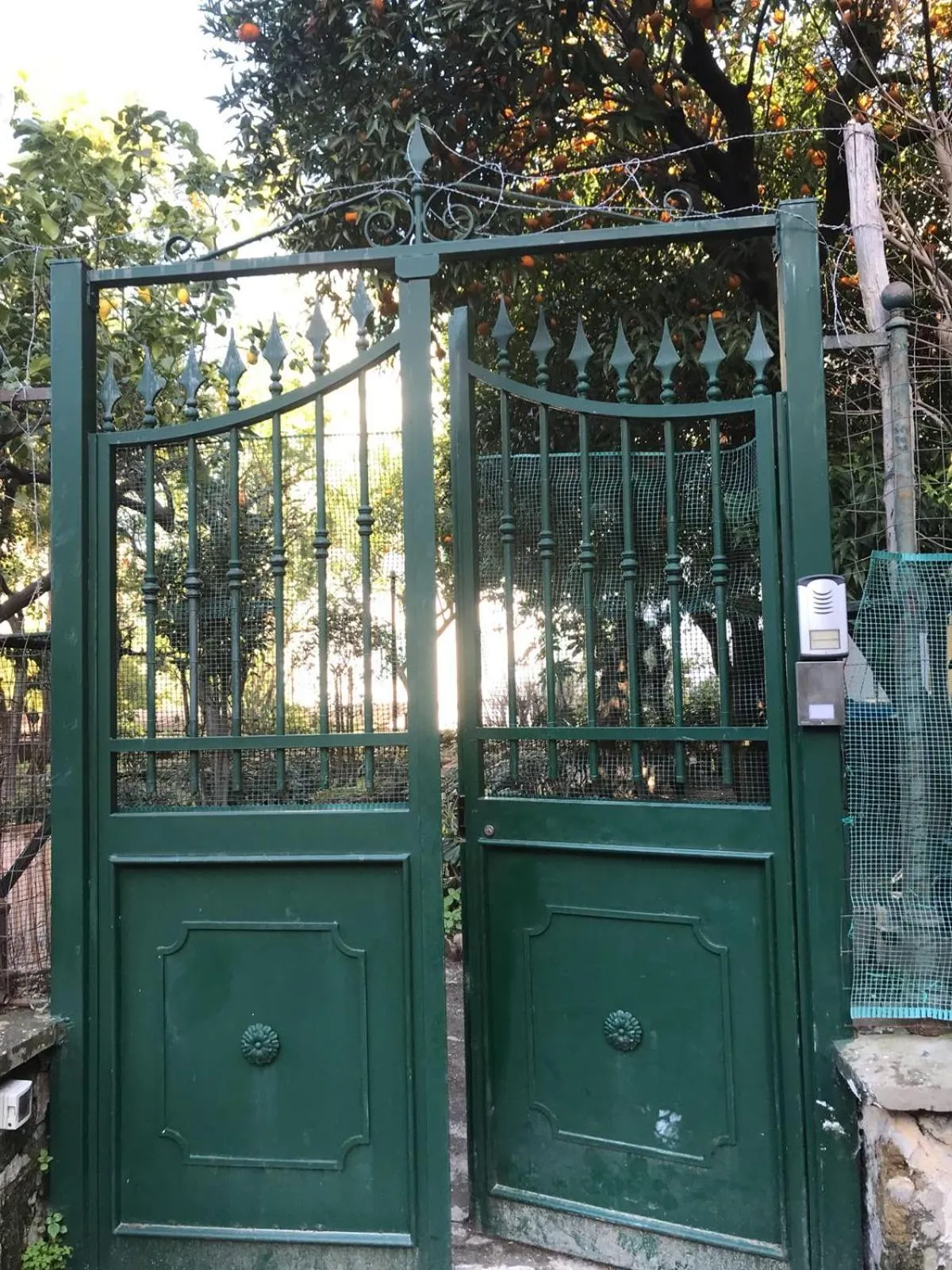 Il Giardino Di Vico Neve