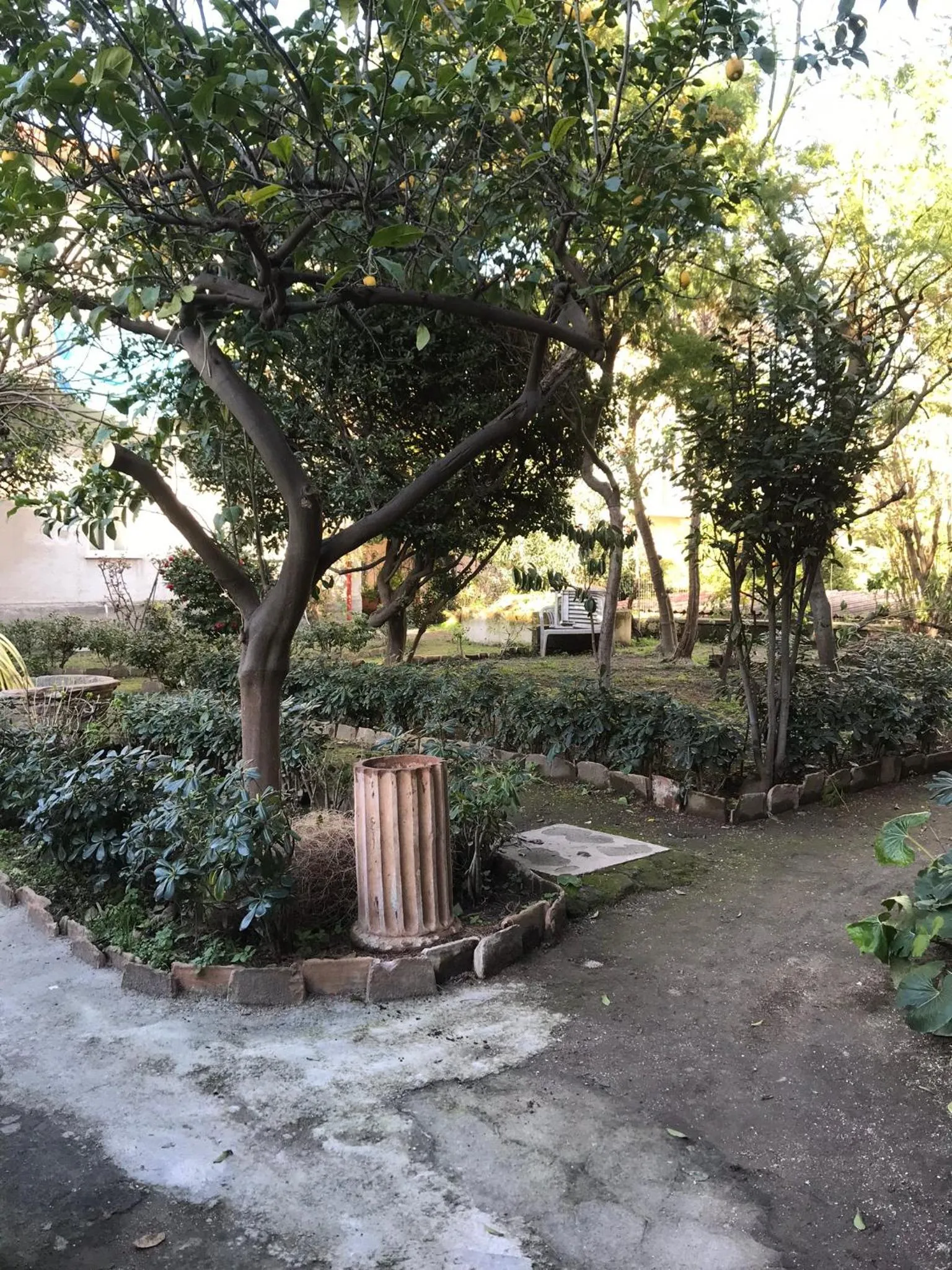 Il Giardino Di Vico Neve