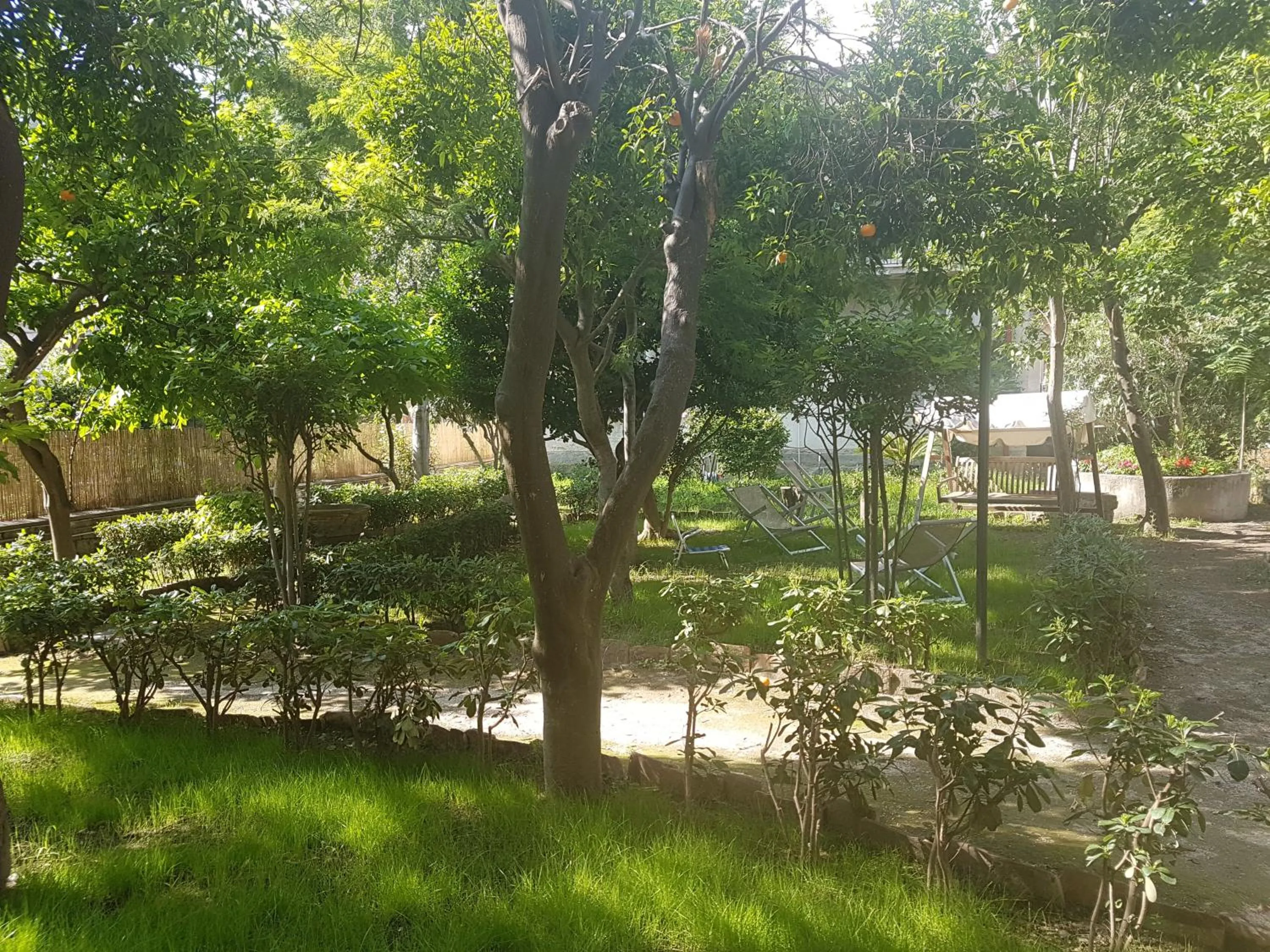 Garden in Il Giardino Di Vico Neve