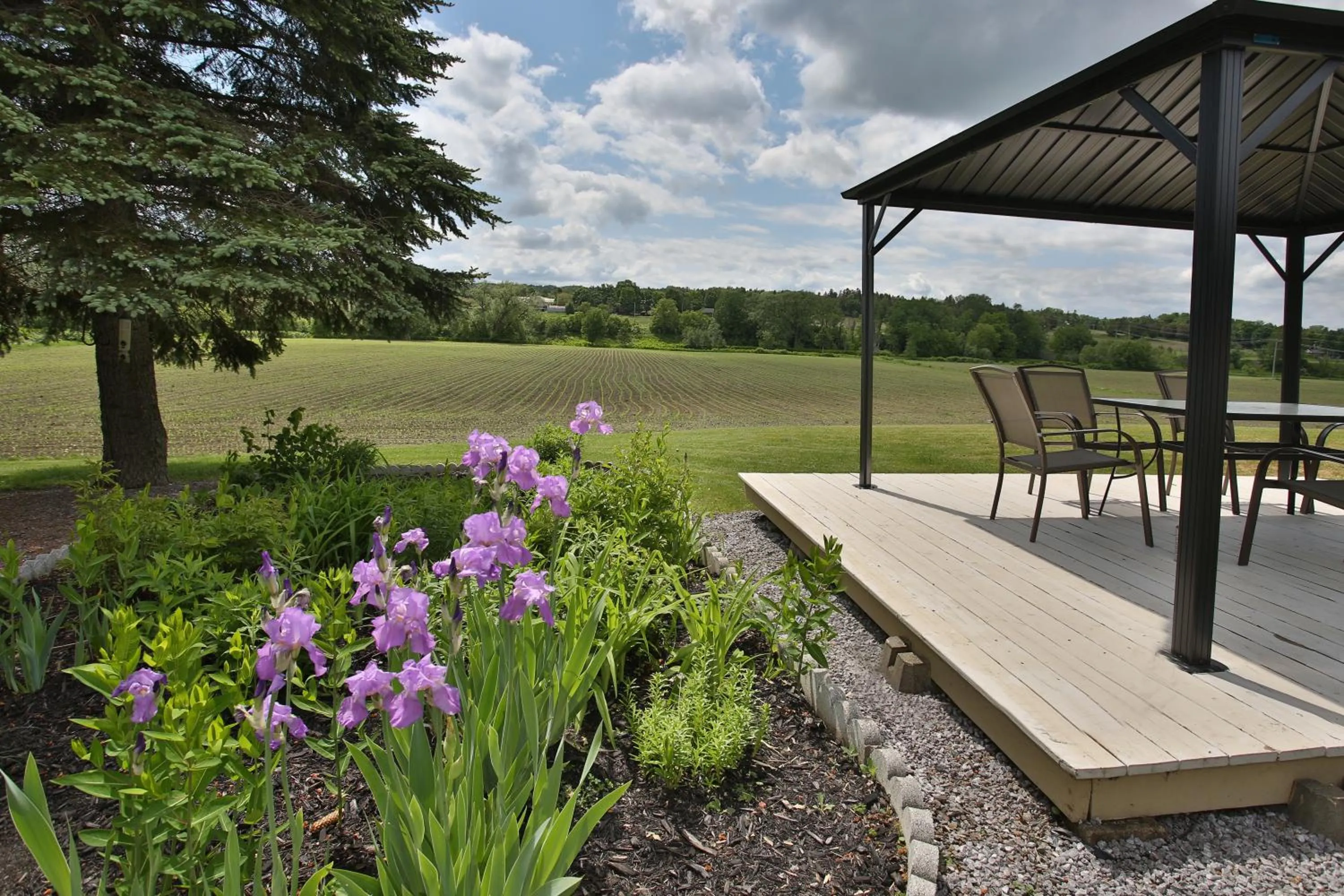 Garden view in Motel Exquise