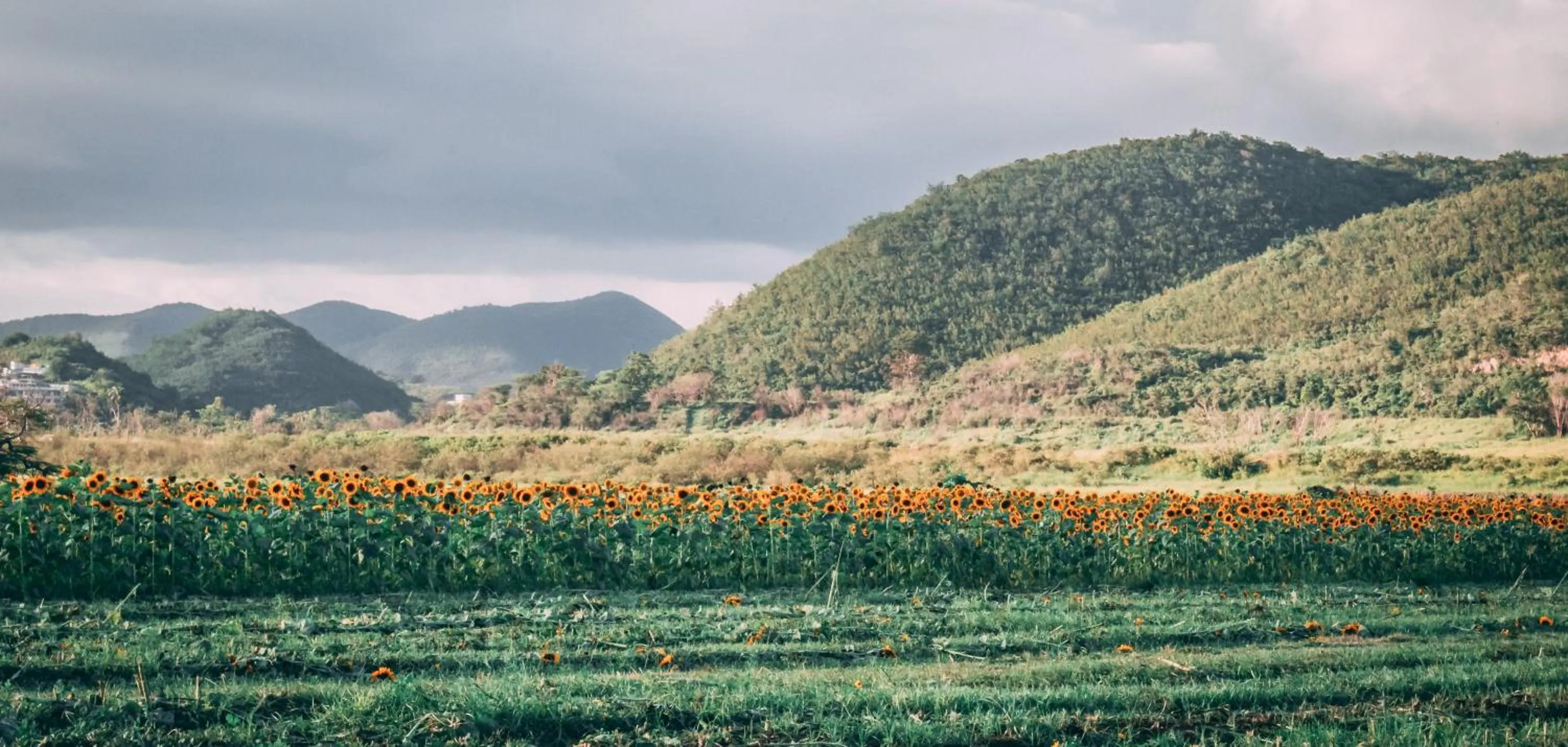 City view in Parador Guánica 1929