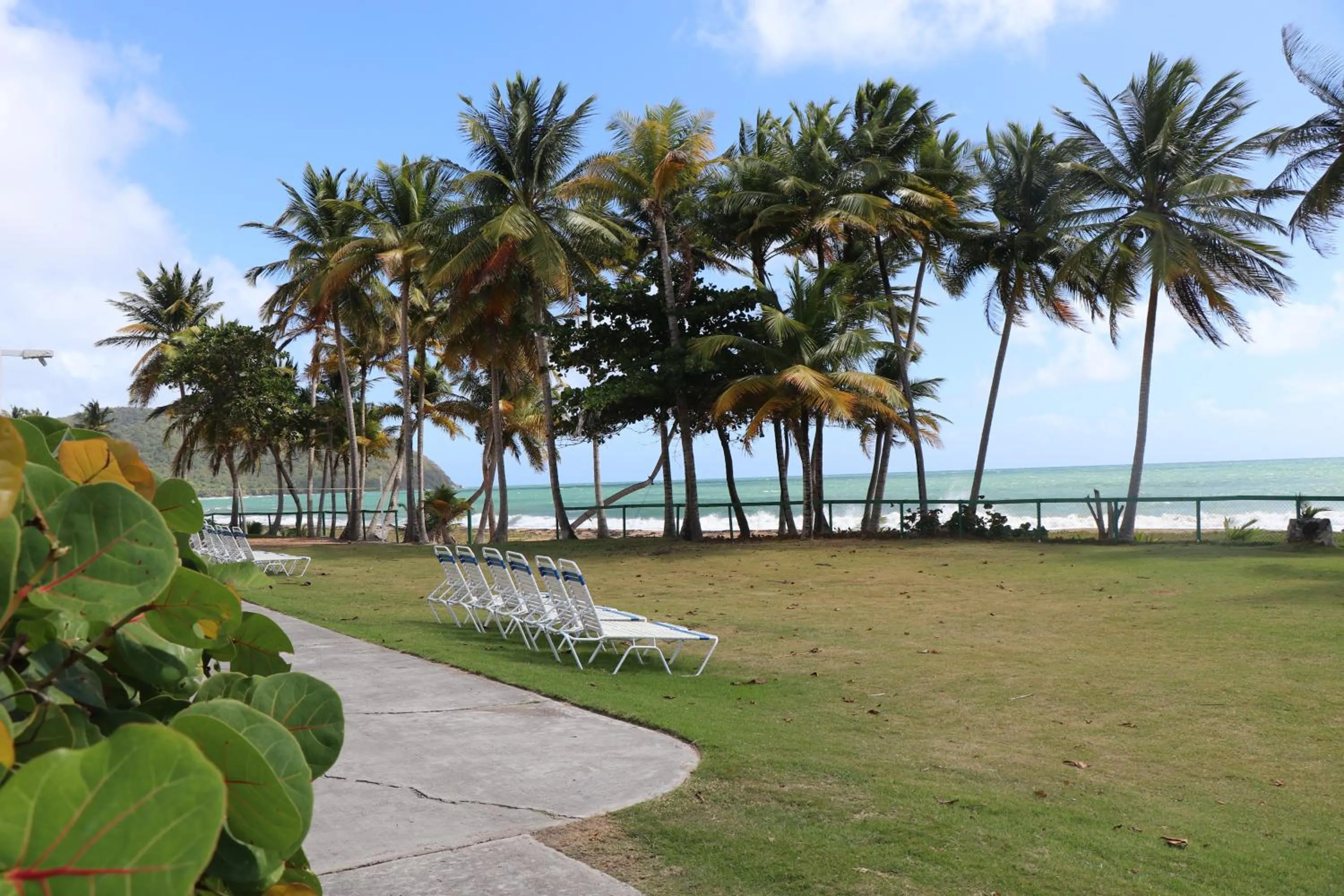 Garden in Parador Maunacaribe - Maunabo