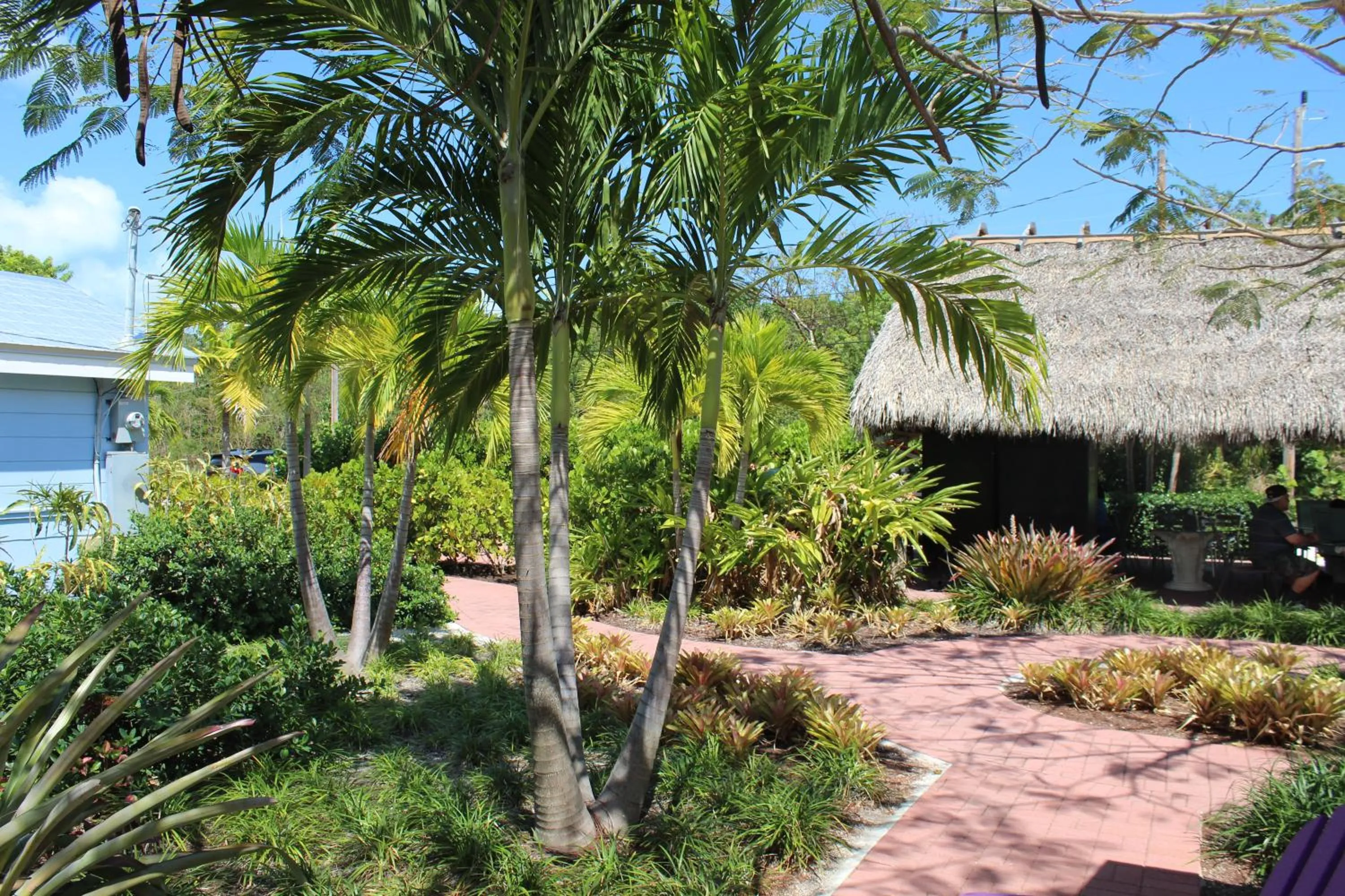 Tropical Cottages