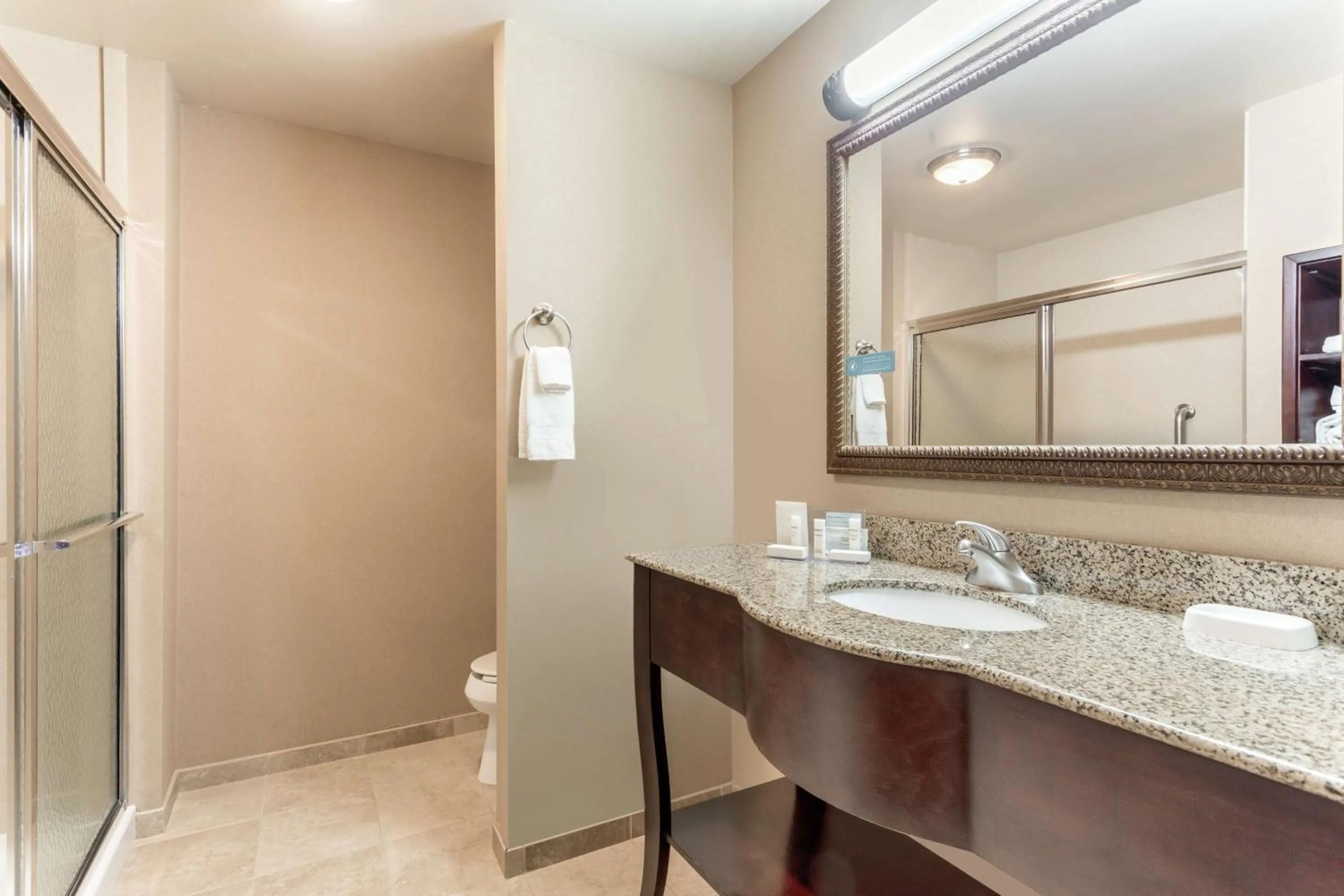 Bathroom in Hampton Inn Auburn