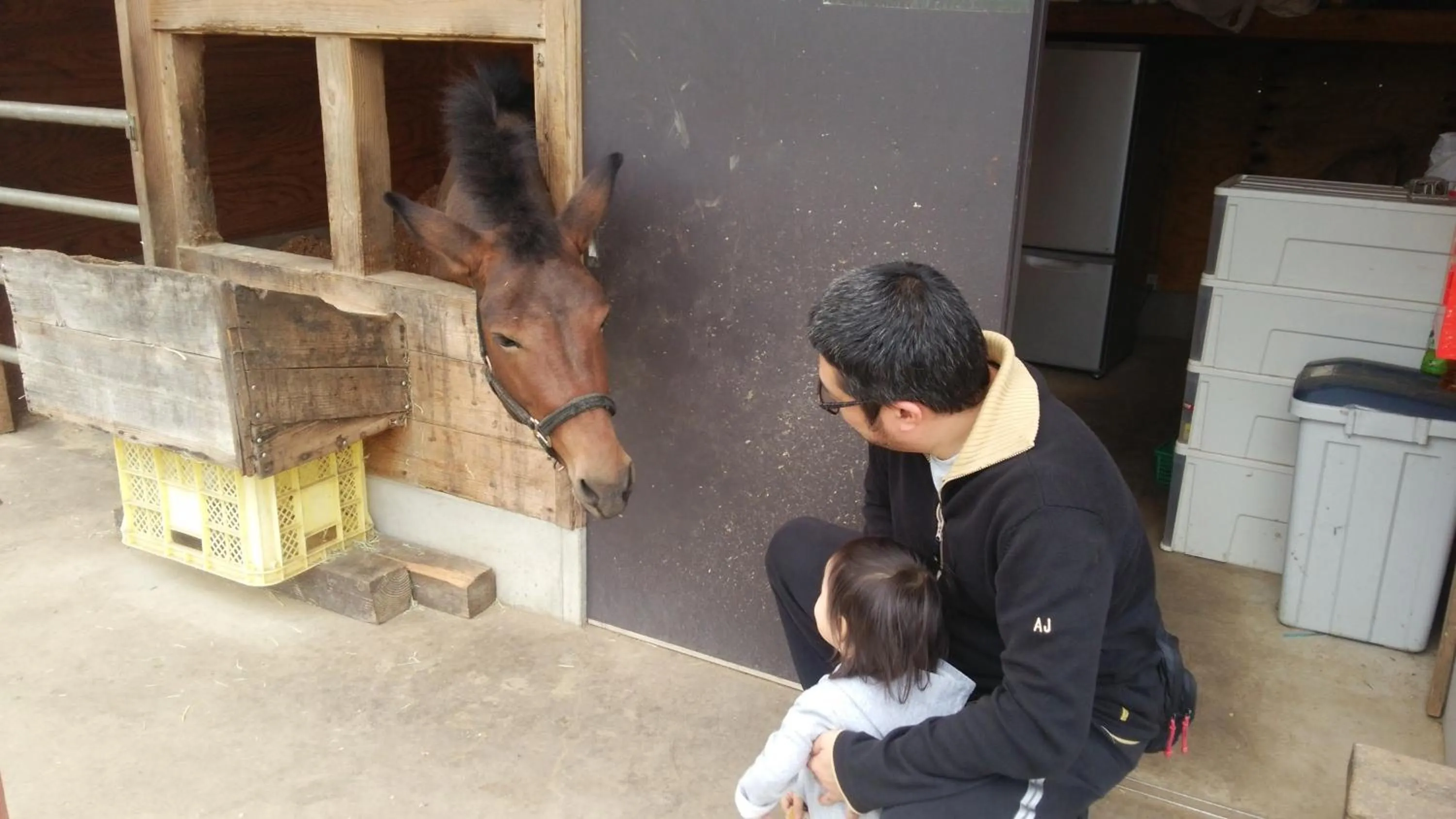 Activities in Oyado Matsubaya