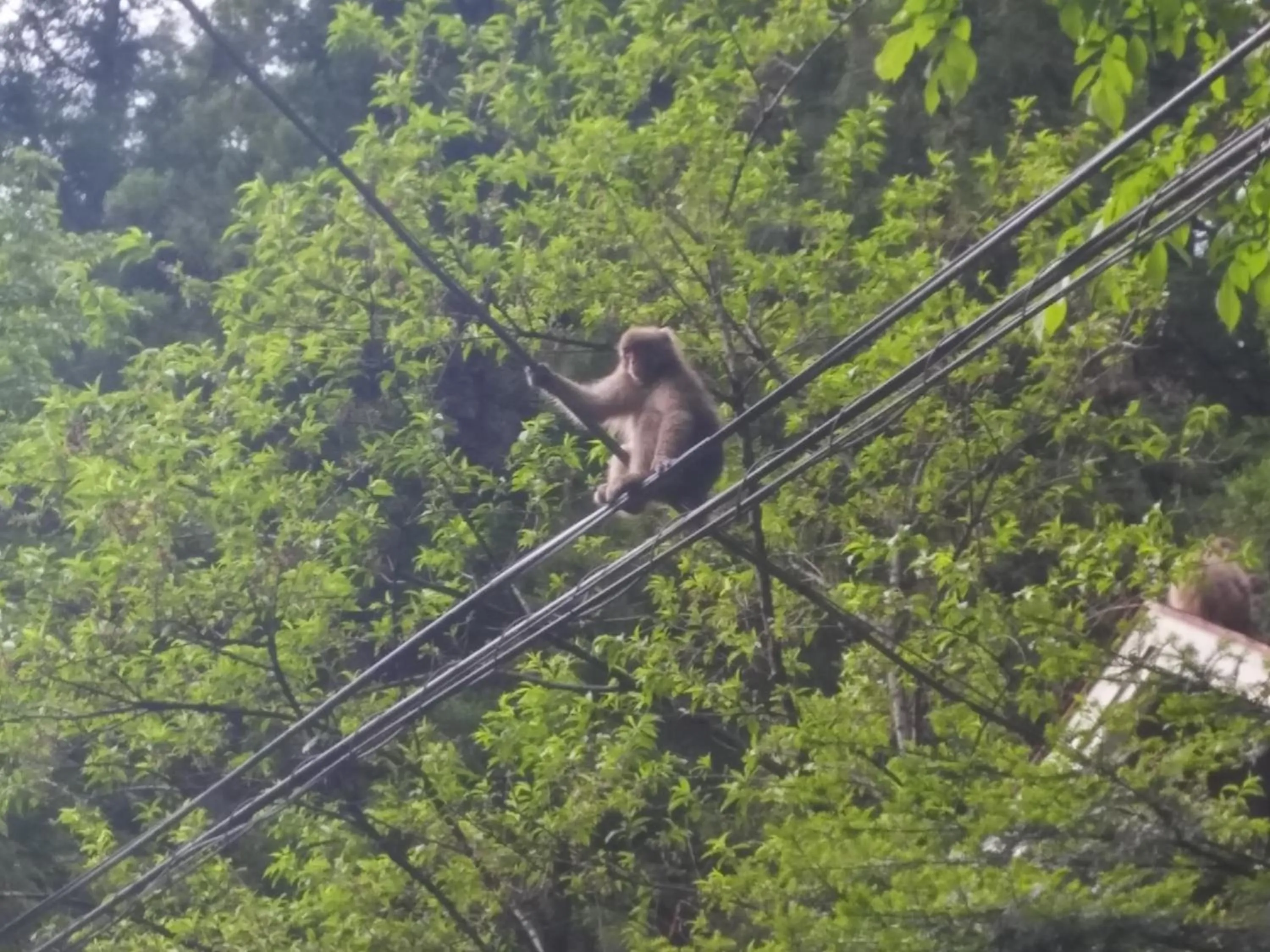 Off site in Oyado Matsubaya