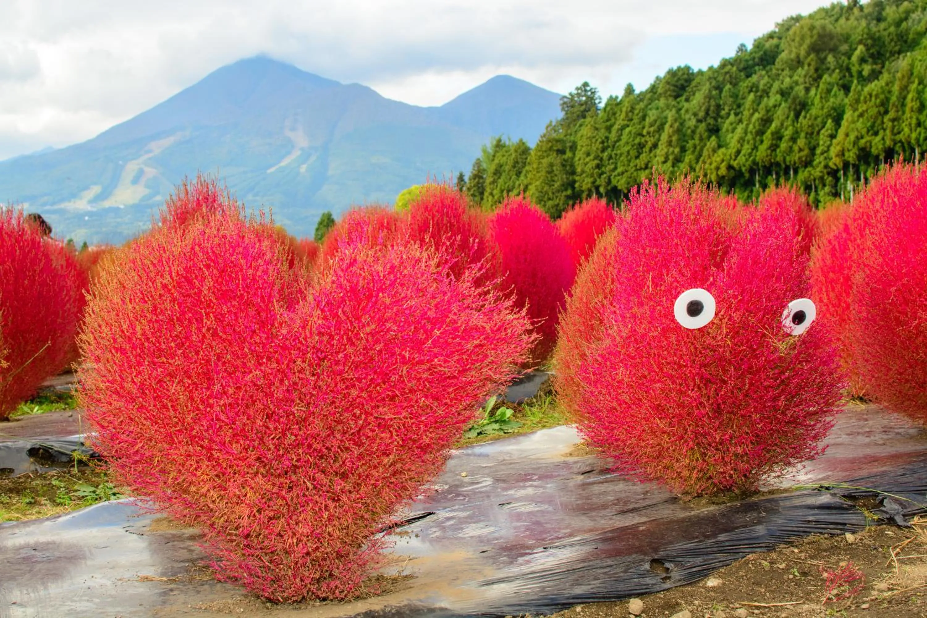 Nearby landmark in Hotel Listel Inawashiro Wing Tower