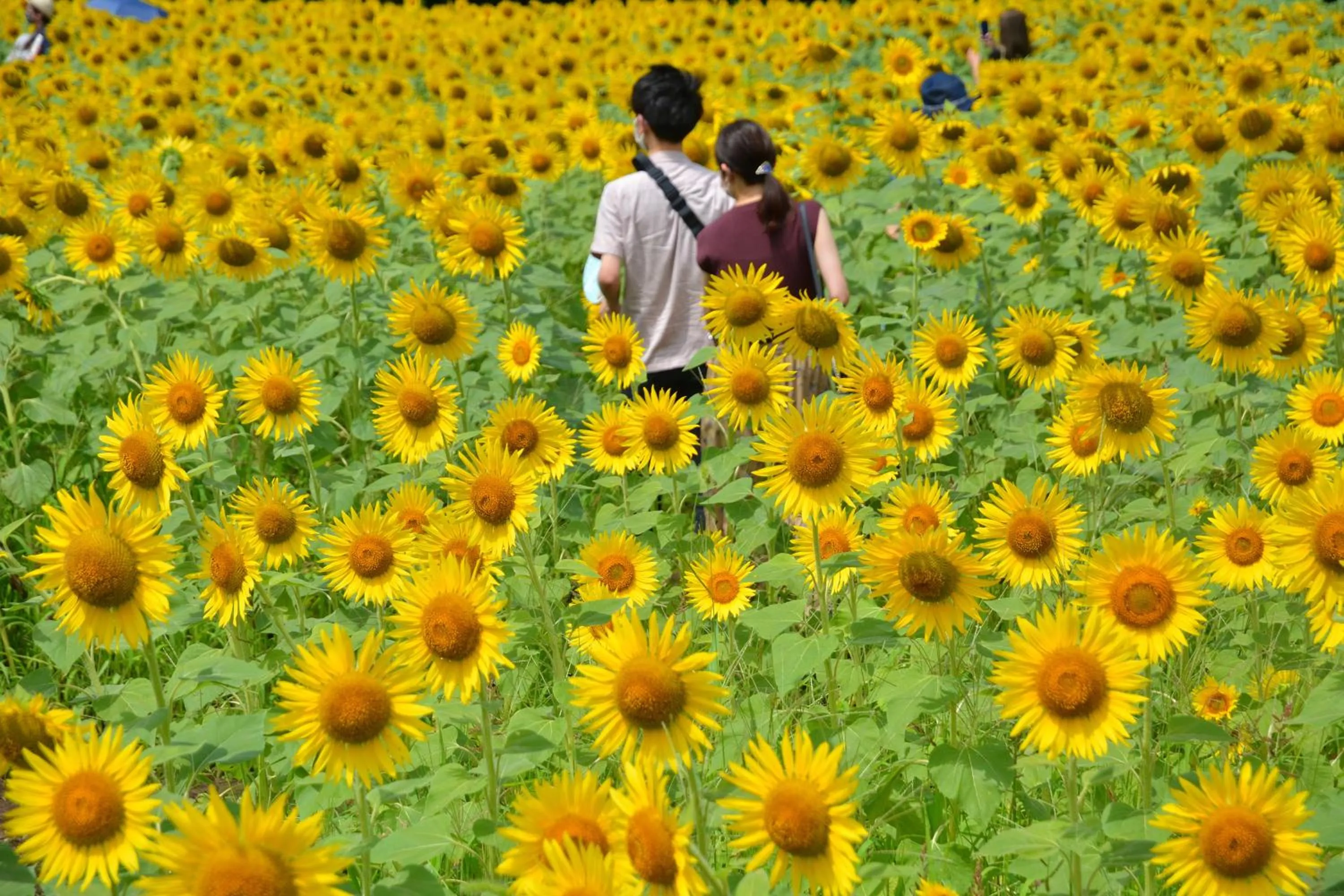 Nearby landmark in Hotel Listel Inawashiro Wing Tower