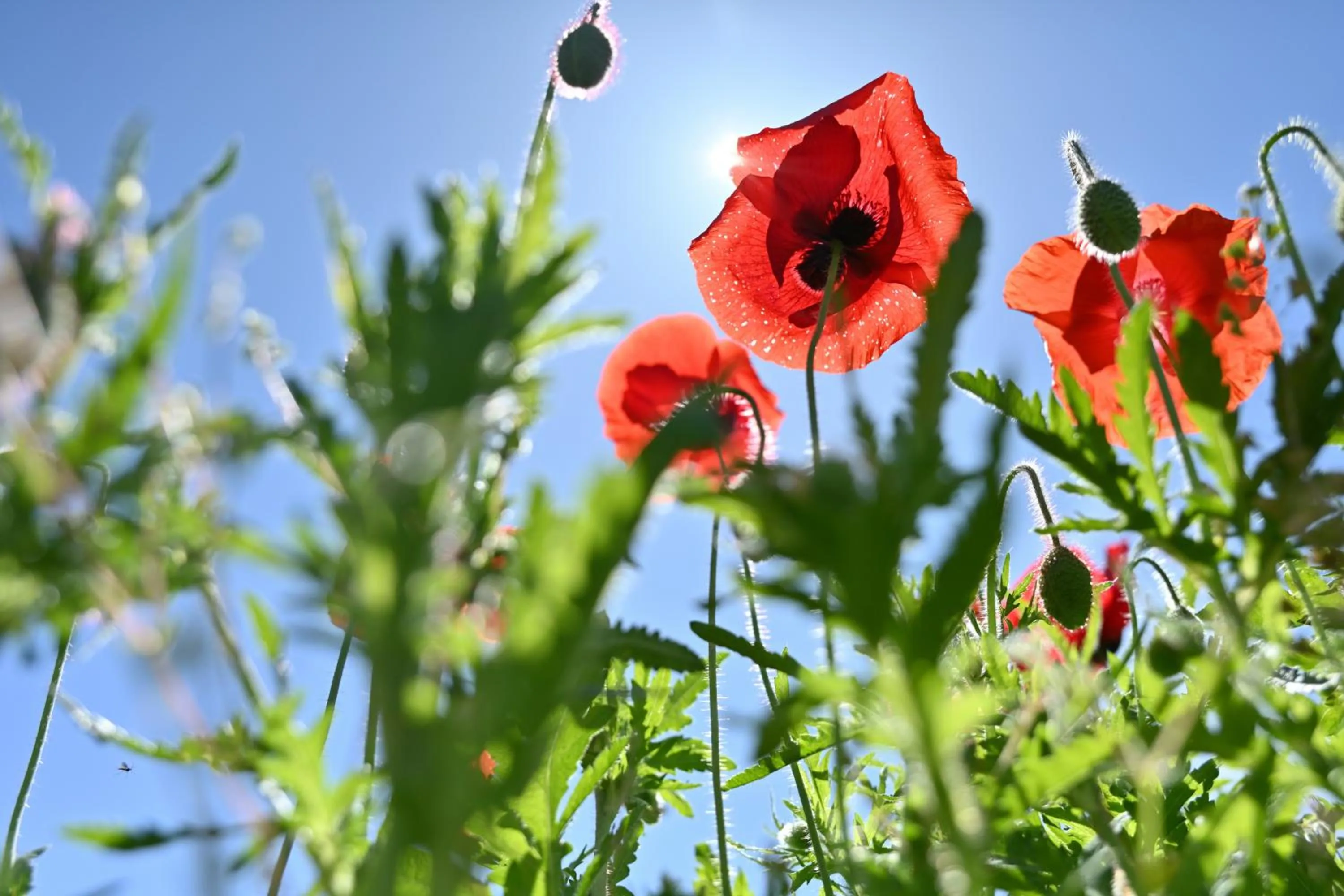 Nearby landmark in Hotel Listel Inawashiro Wing Tower