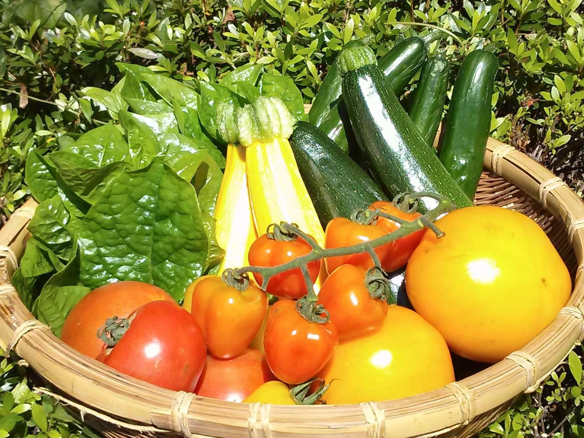 Food close-up in Super Hydrogen Rich Spa Yado Kanzan