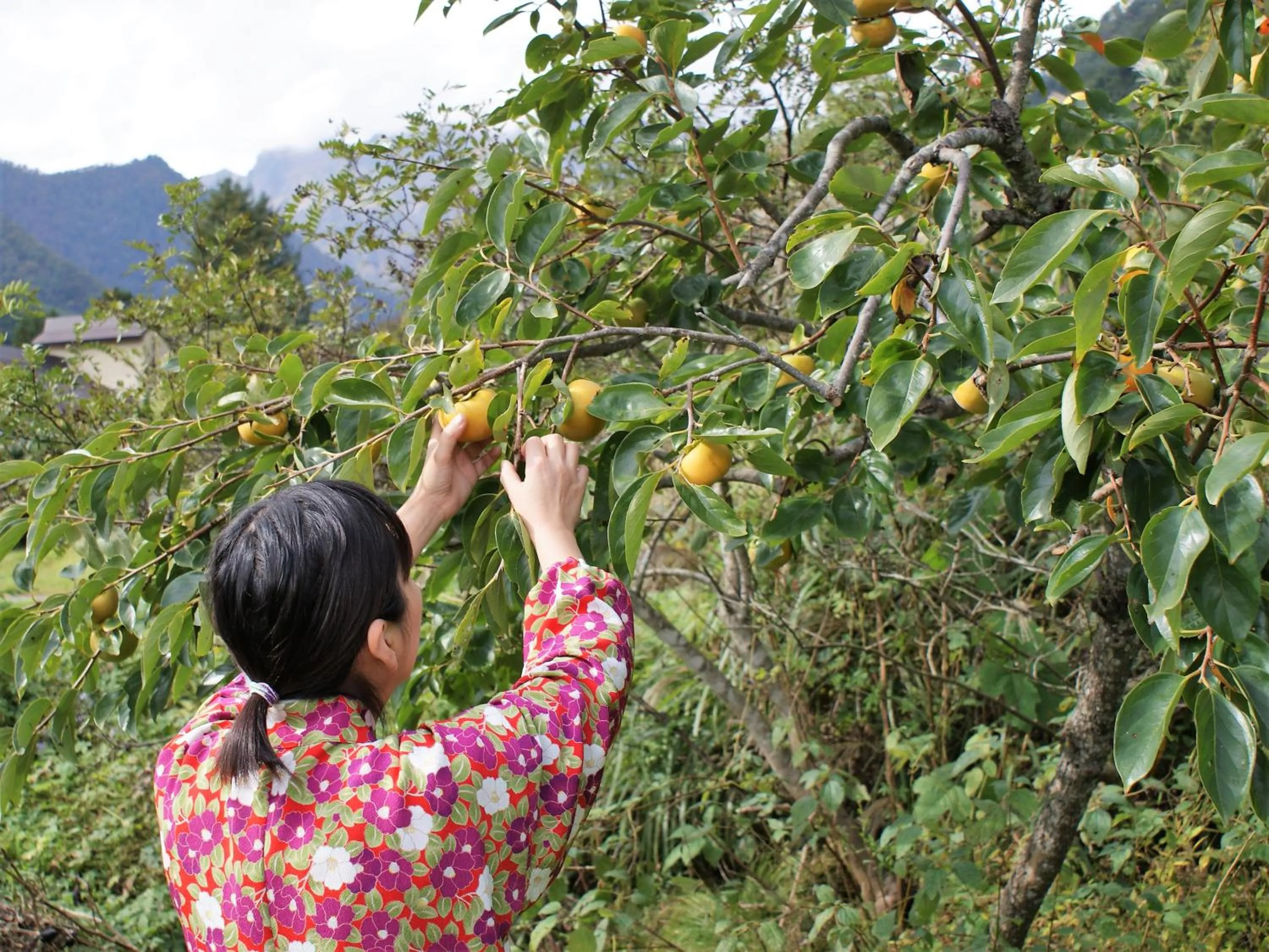 Food and drinks in Super Hydrogen Rich Spa Yado Kanzan