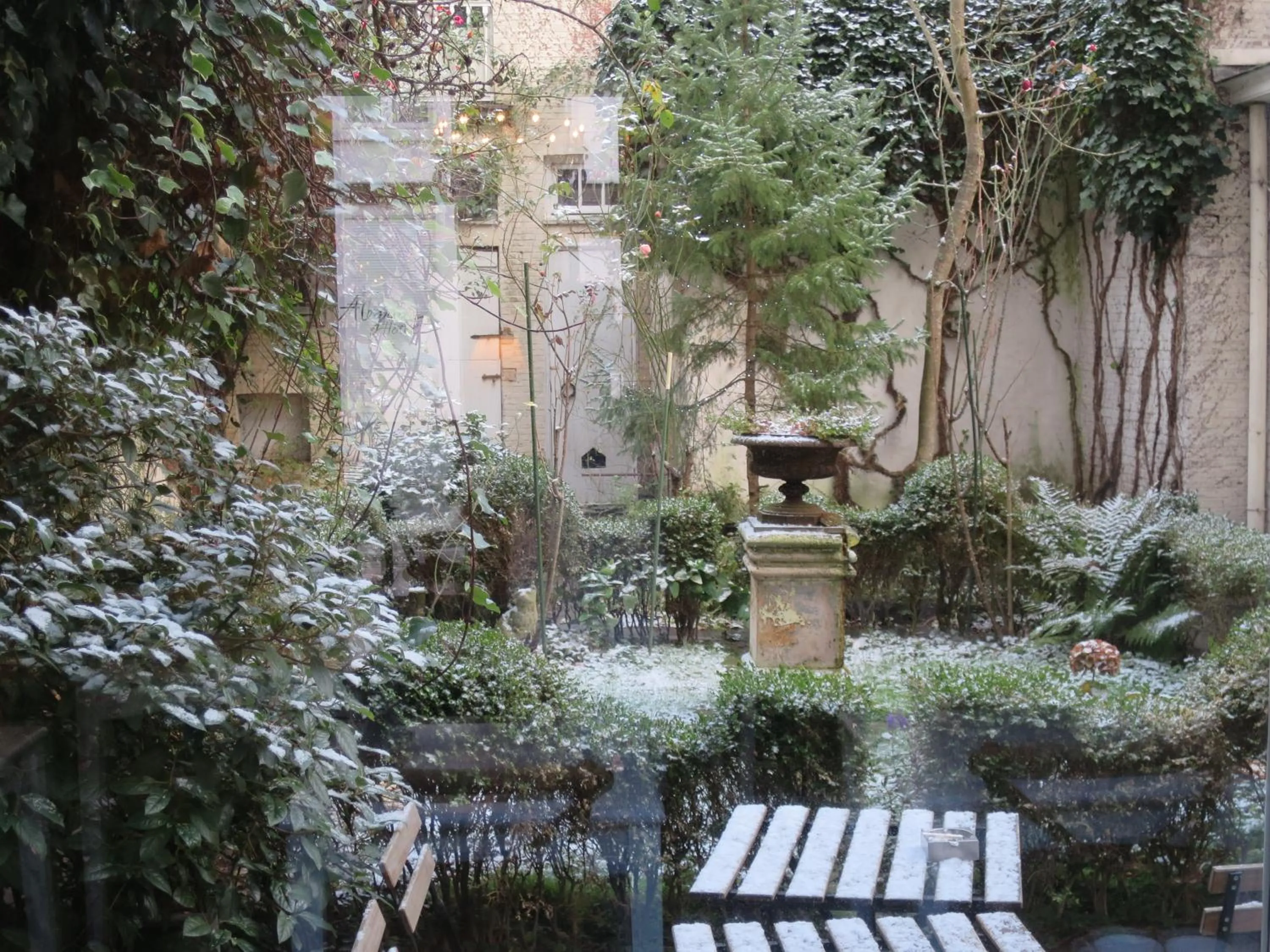 Garden view in Hotel Alegria