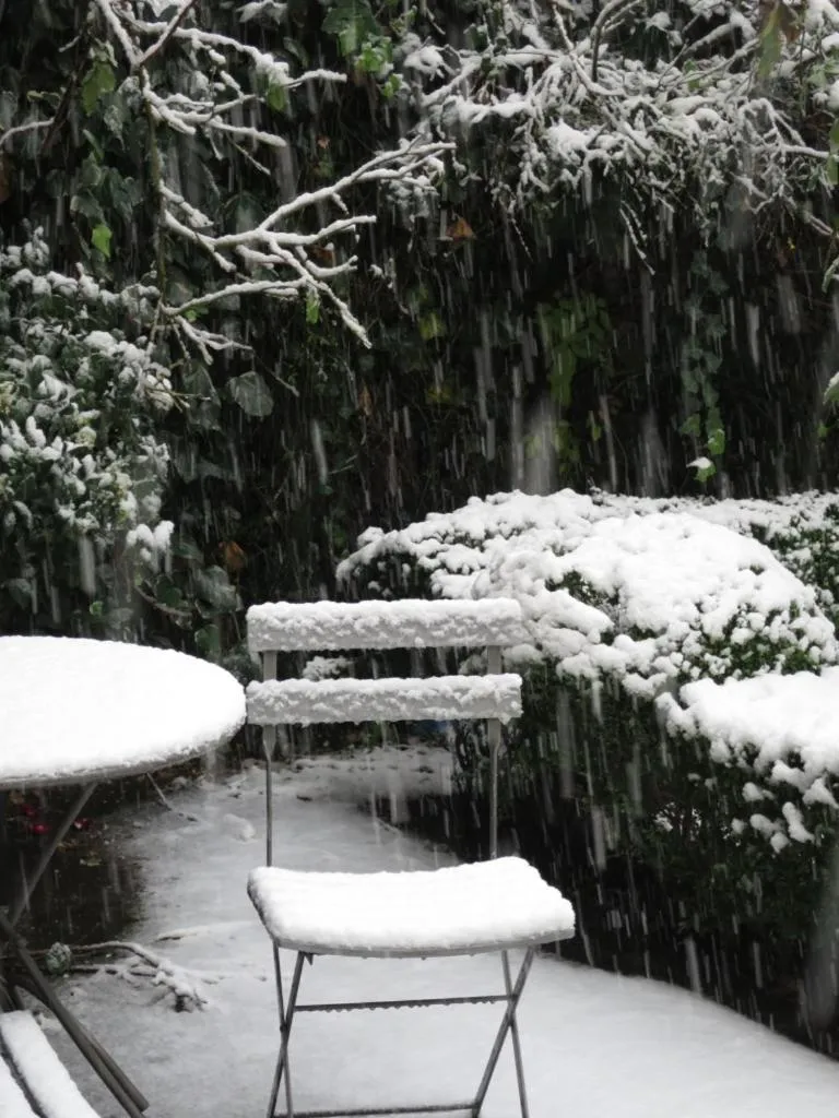 Property building in Hotel Alegria