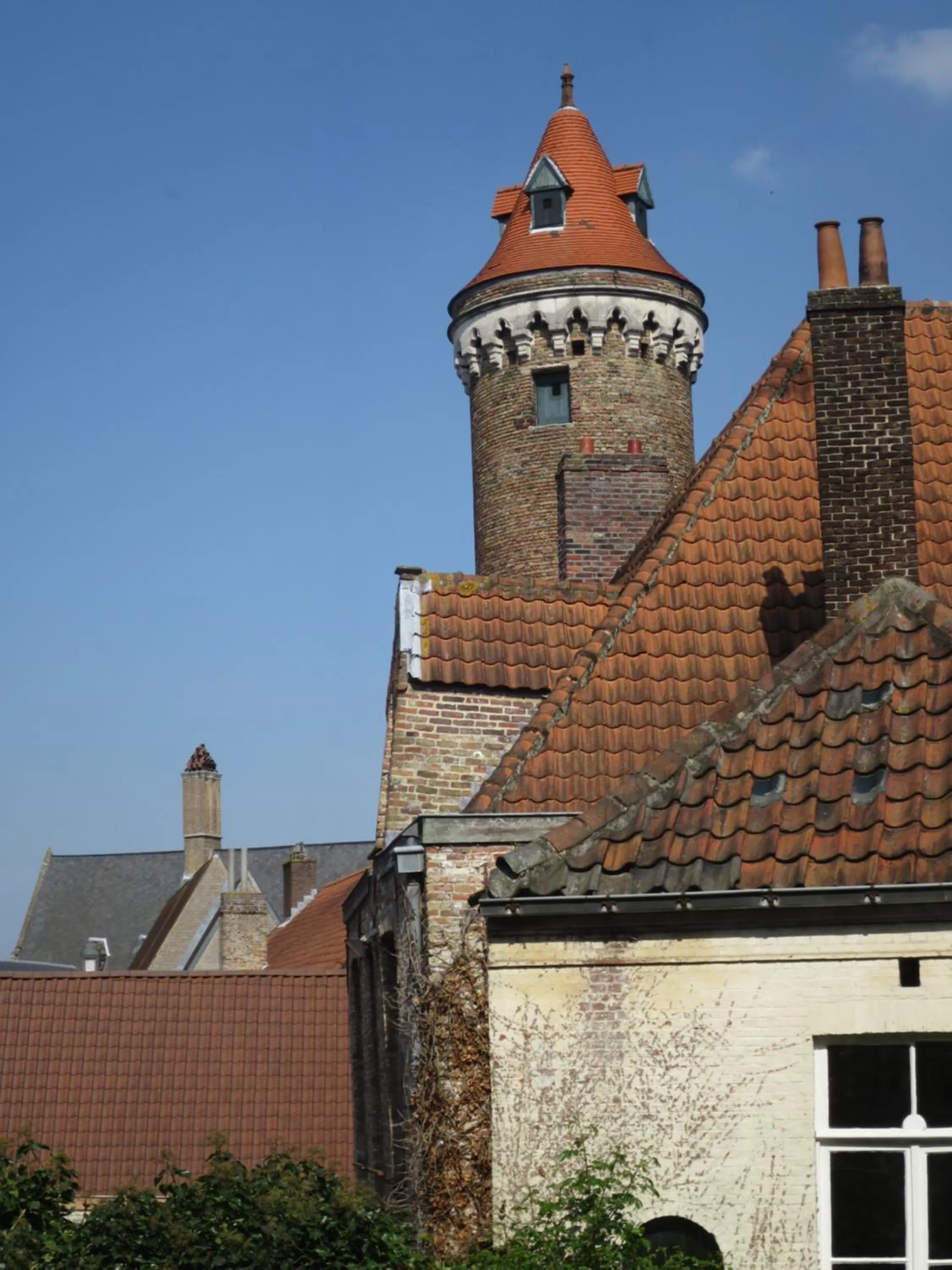 Garden view in Hotel Alegria