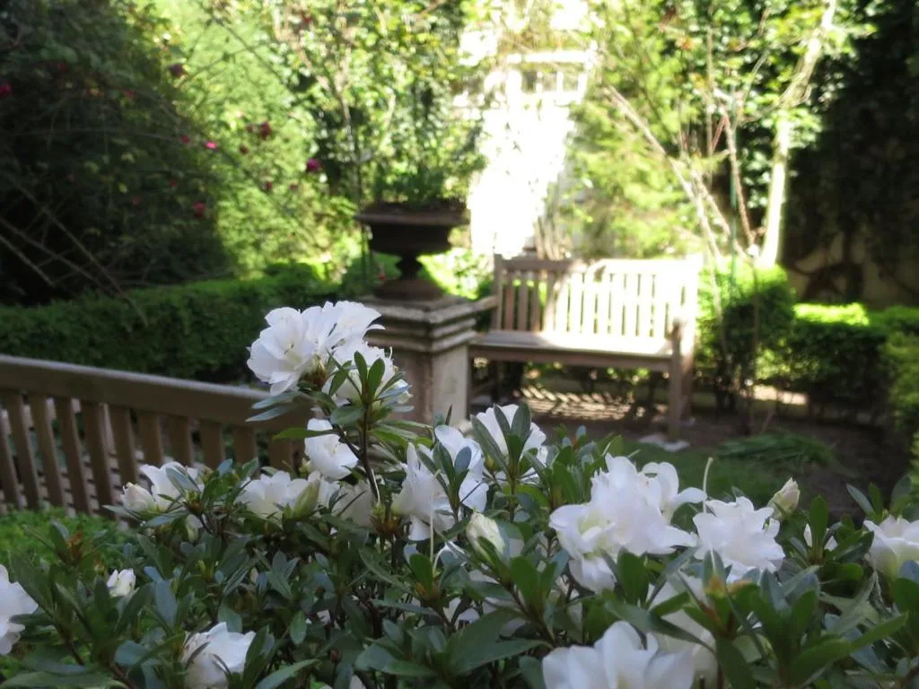 Garden in Hotel Alegria
