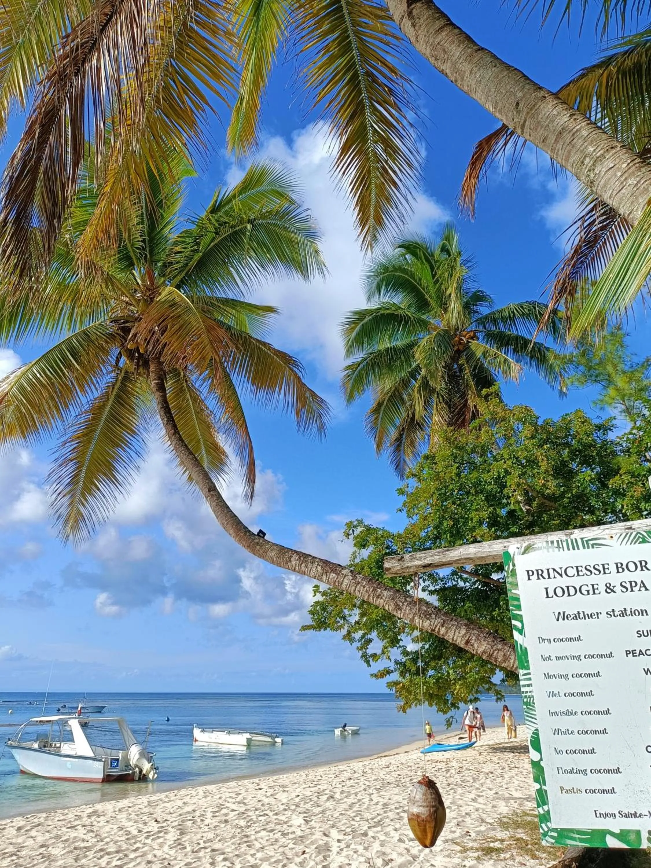 Beach in Princesse Bora Lodge & Spa