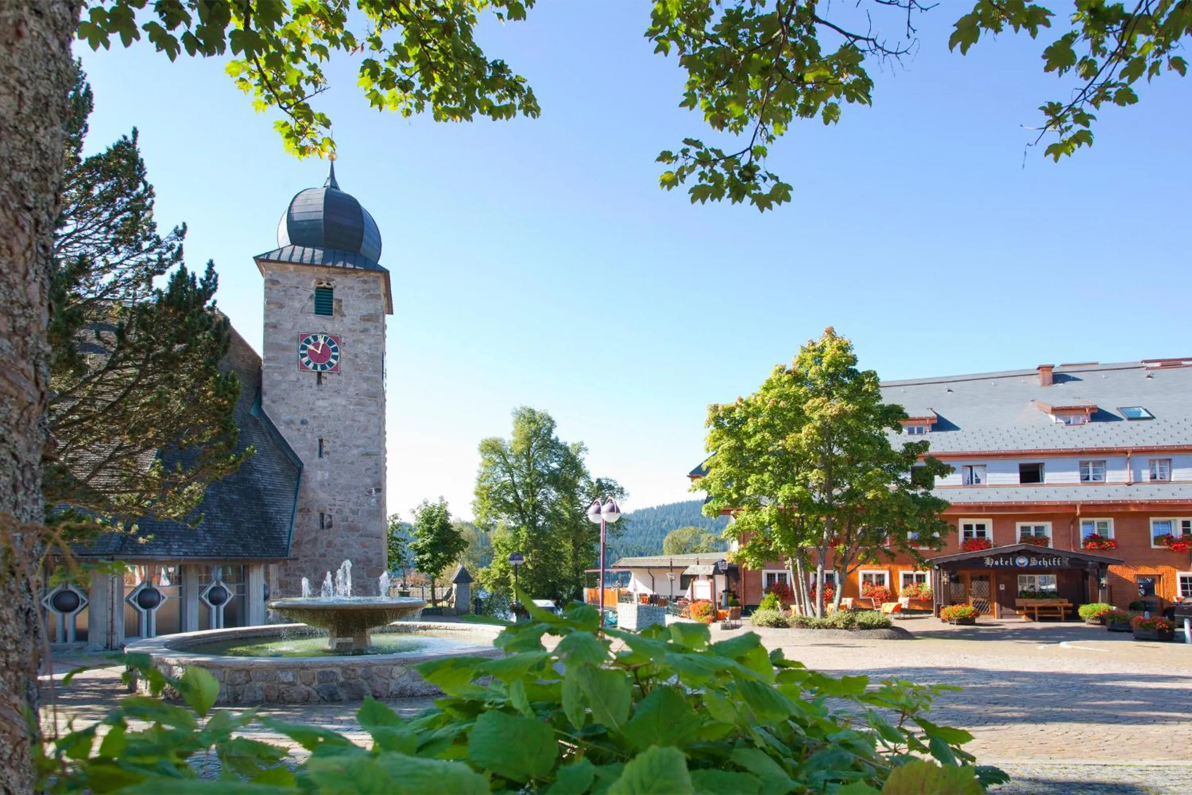Area and facilities in Hotel Schiff am Schluchsee