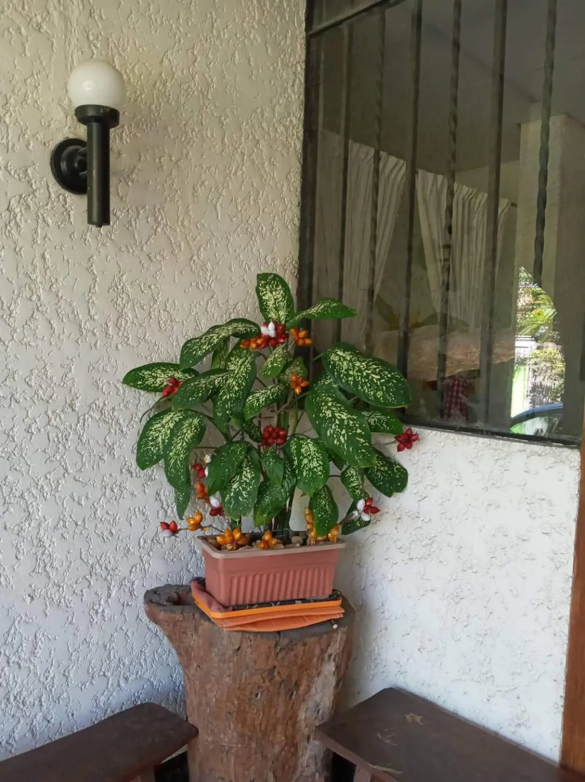 Facade/entrance in Casa Joaquin BnB