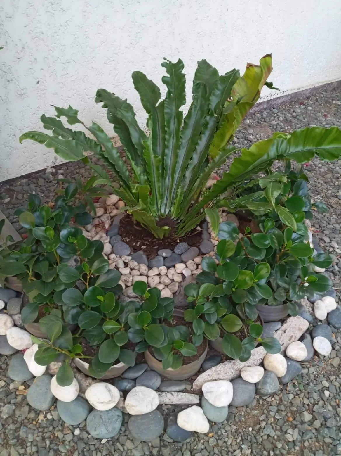 Property building in Casa Joaquin BnB