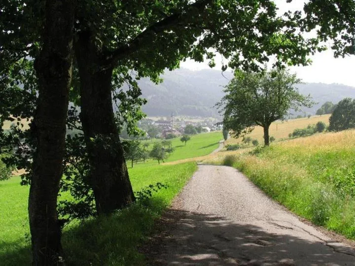 Area and facilities in Hotel-Restaurant Adler
