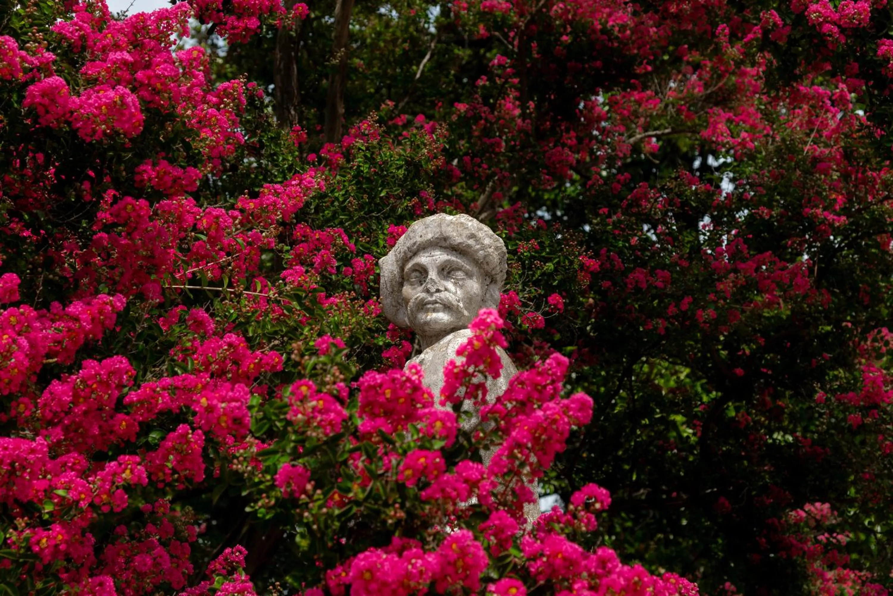Garden in Castello di Roncade